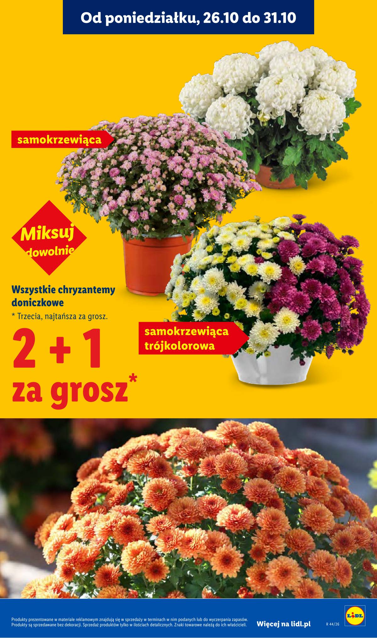 Lidl Lenkija - Gazetka 5 puslapis
