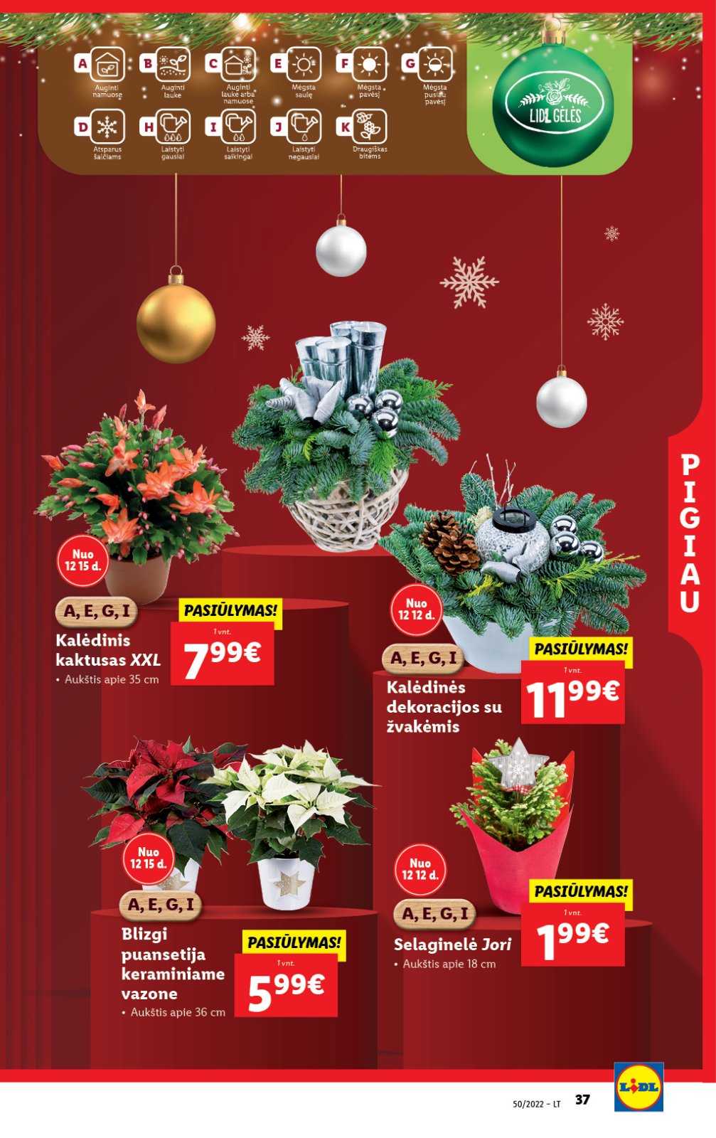 Lidl 'MAISTO PREKIŲ PASIŪLYMAI' 37 puslapis