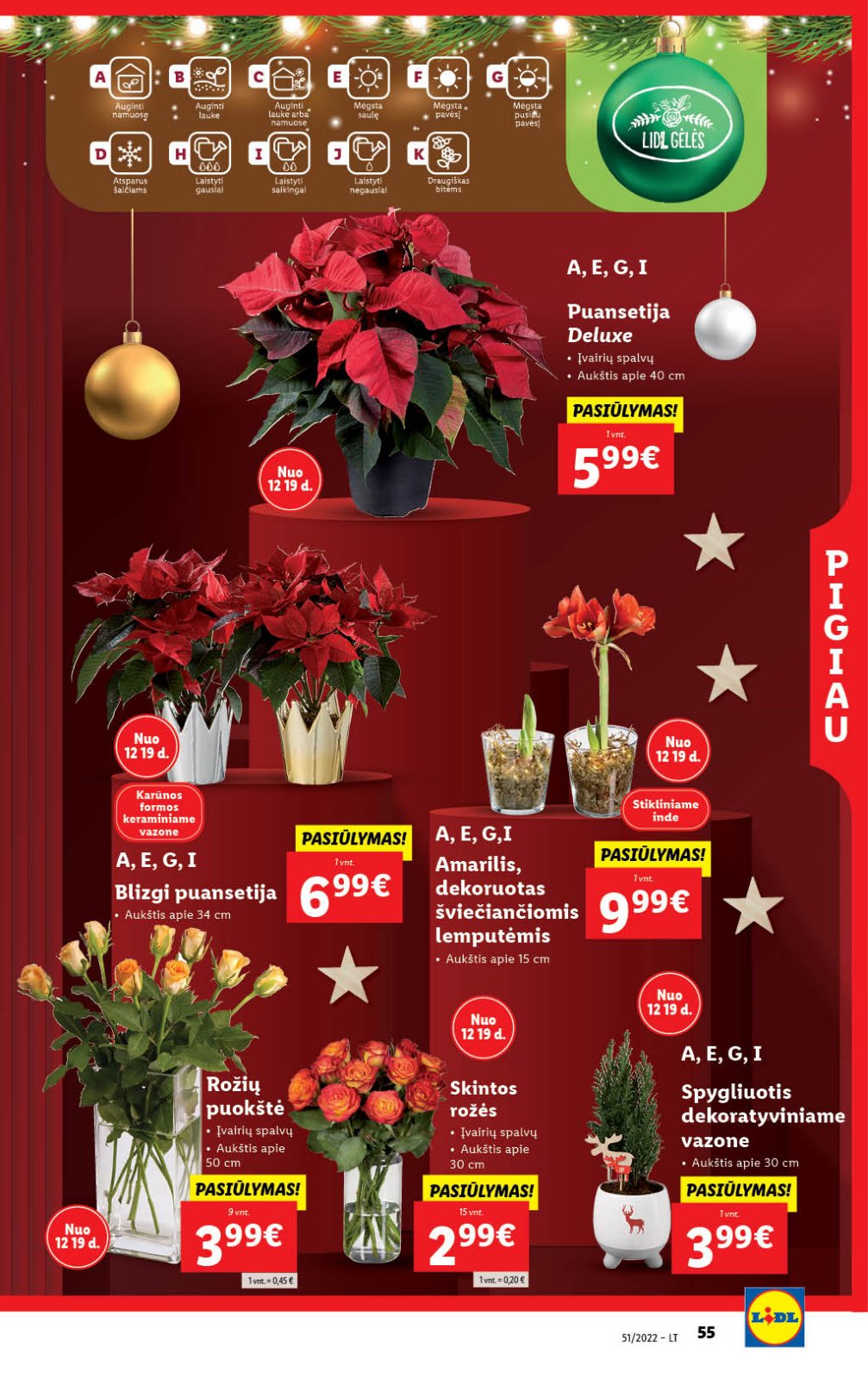 Lidl 'MAISTO PREKIŲ PASIŪLYMAI' 55 puslapis