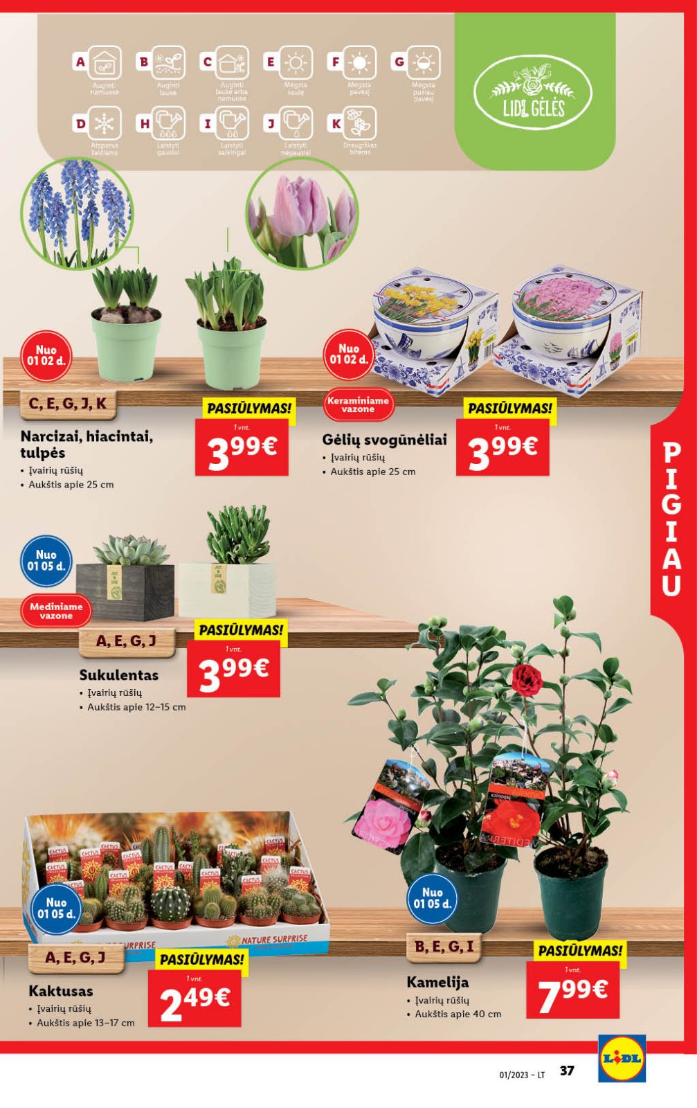 Lidl 'MAISTO PREKIŲ PASIŪLYMAI' 37 puslapis