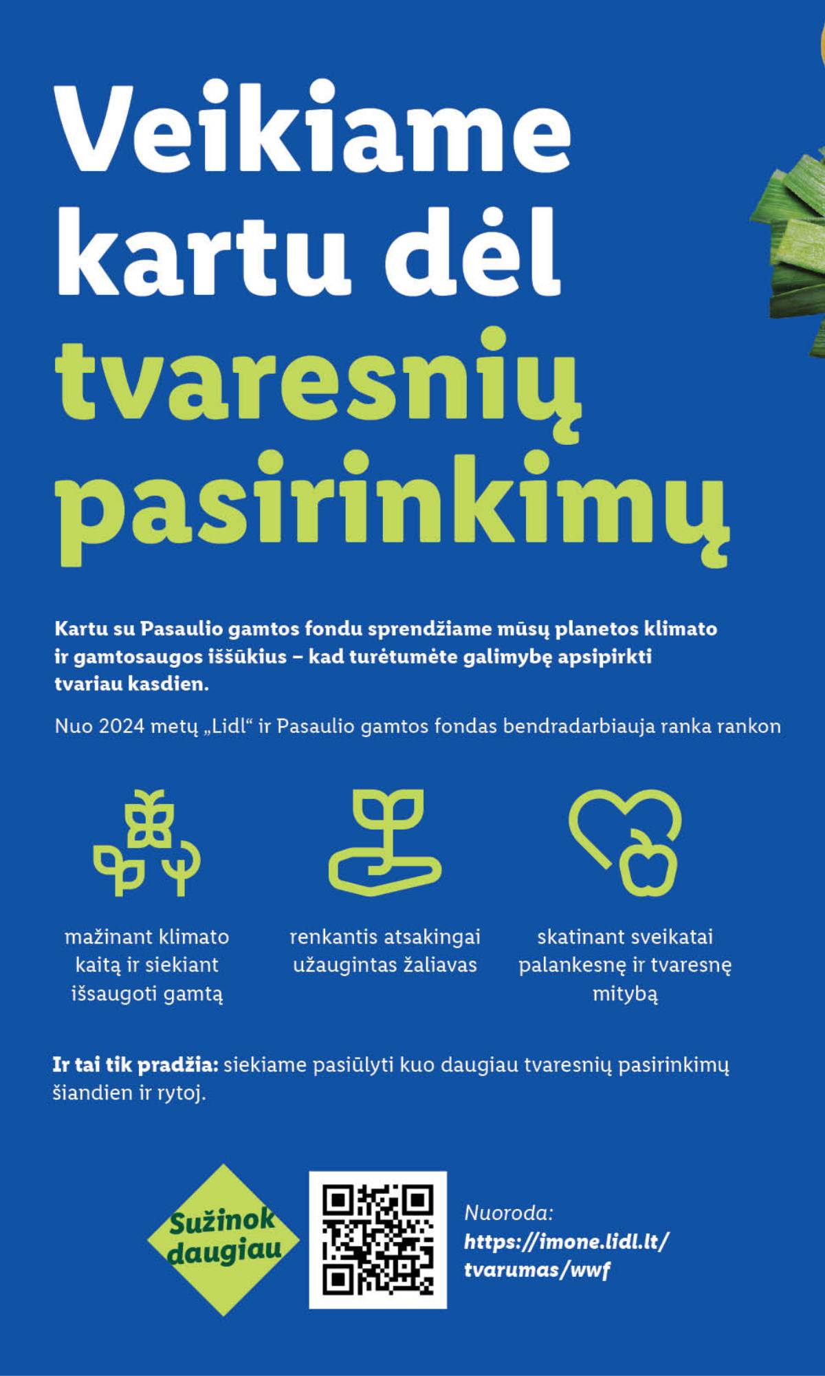 Lidl - LIDL SAVAITĖS Maisto prekių akcijų leidinys 40 puslapis