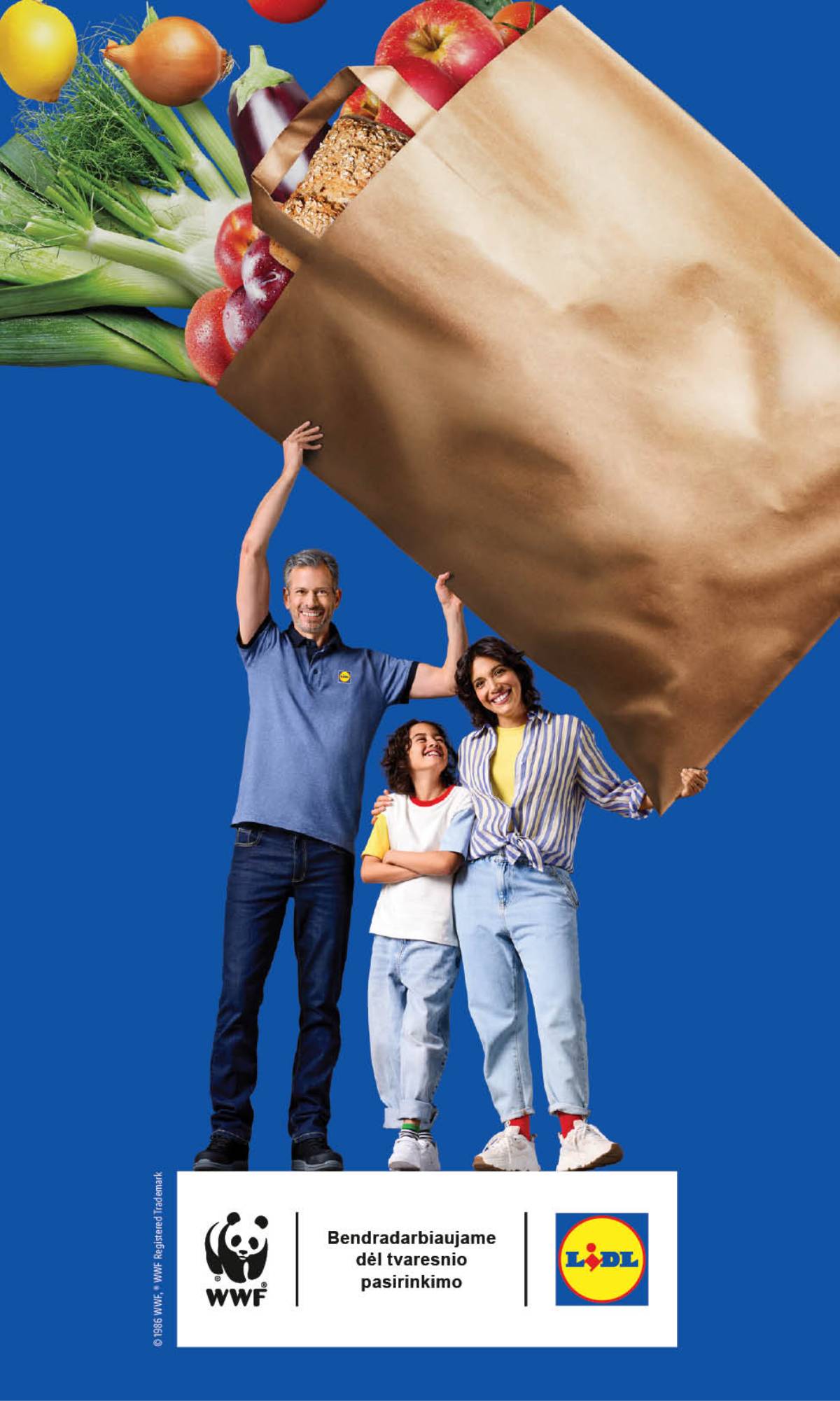 Lidl - LIDL SAVAITĖS Maisto prekių akcijų leidinys 41 puslapis