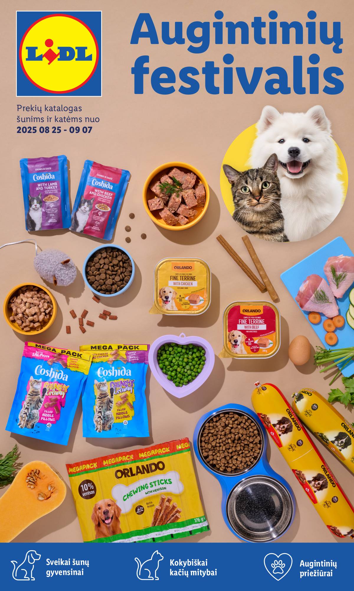 Lidl - AUGINTINIŲ FESTIVALIS 1 puslapis