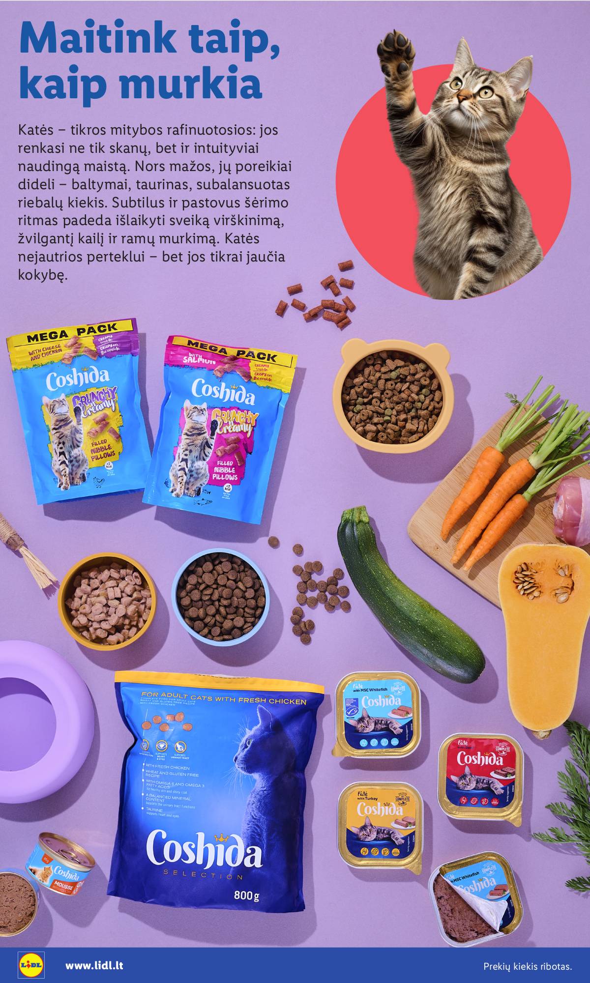 Lidl - AUGINTINIŲ FESTIVALIS 10 puslapis