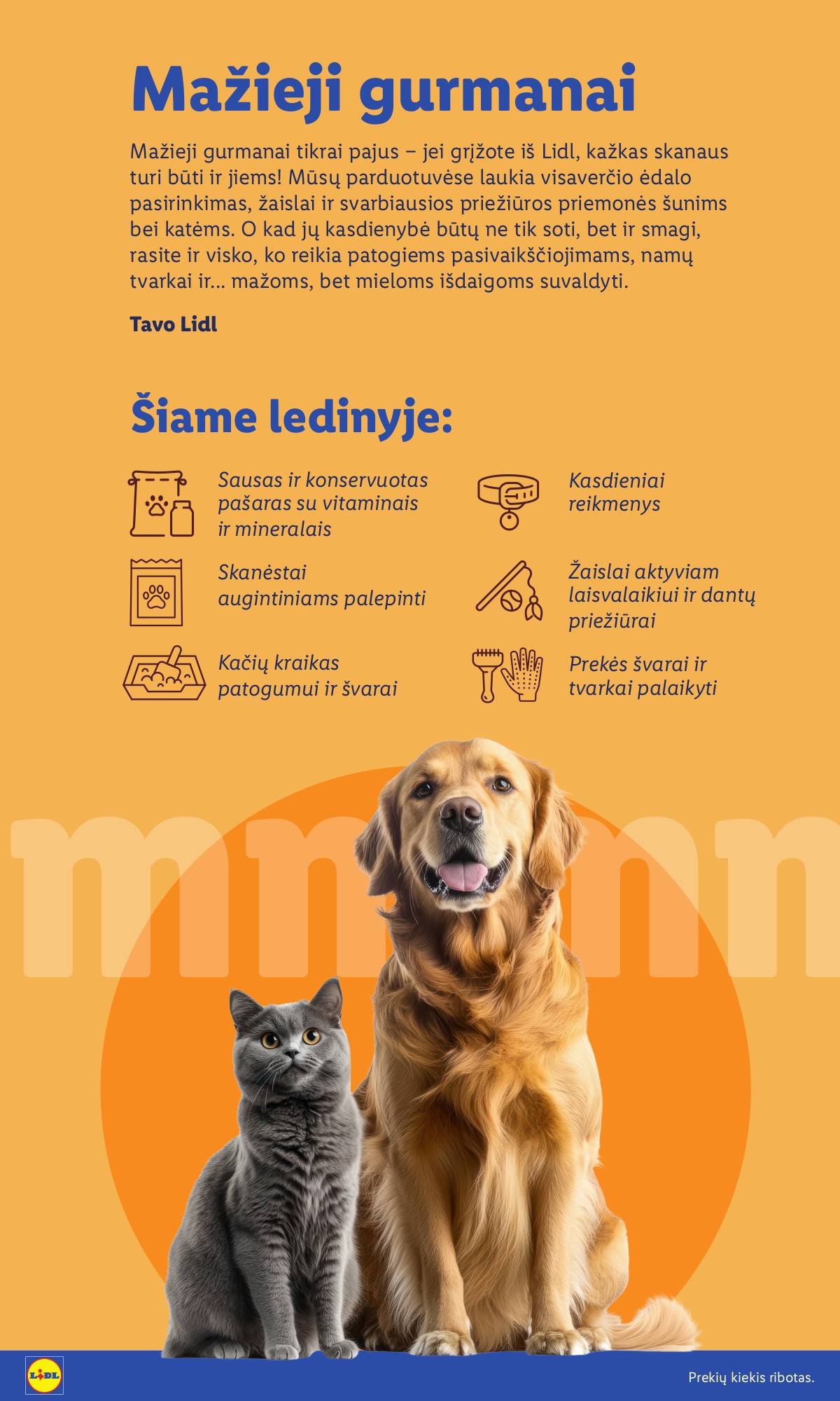 Lidl - AUGINTINIŲ FESTIVALIS 2 puslapis