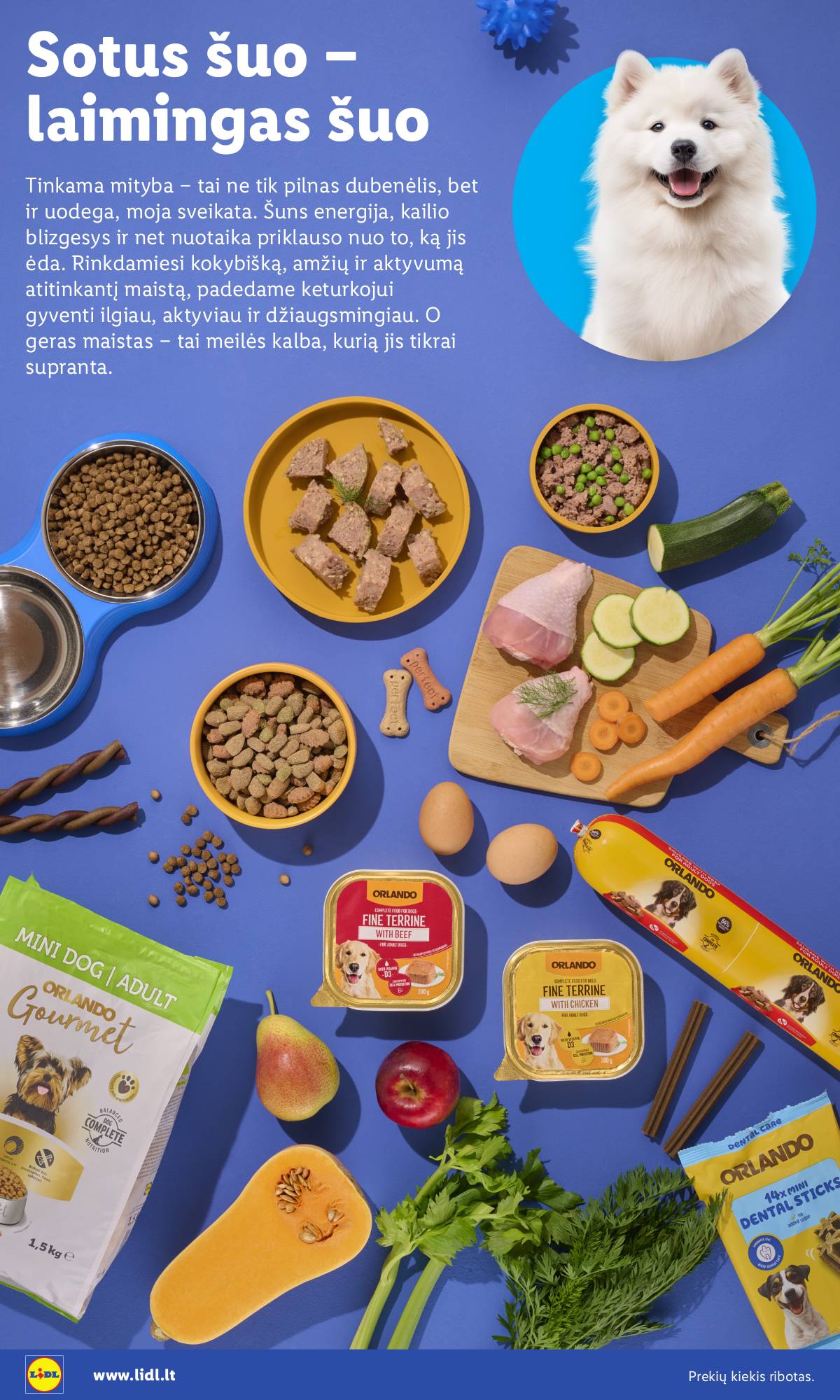 Lidl - AUGINTINIŲ FESTIVALIS 4 puslapis