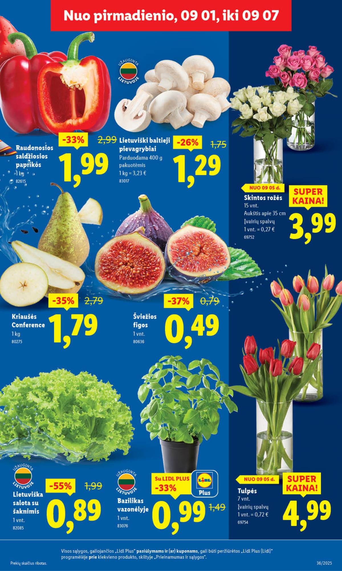 Lidl - LIDL SAVAITĖS Maisto prekių akcijų leidinys 5 puslapis