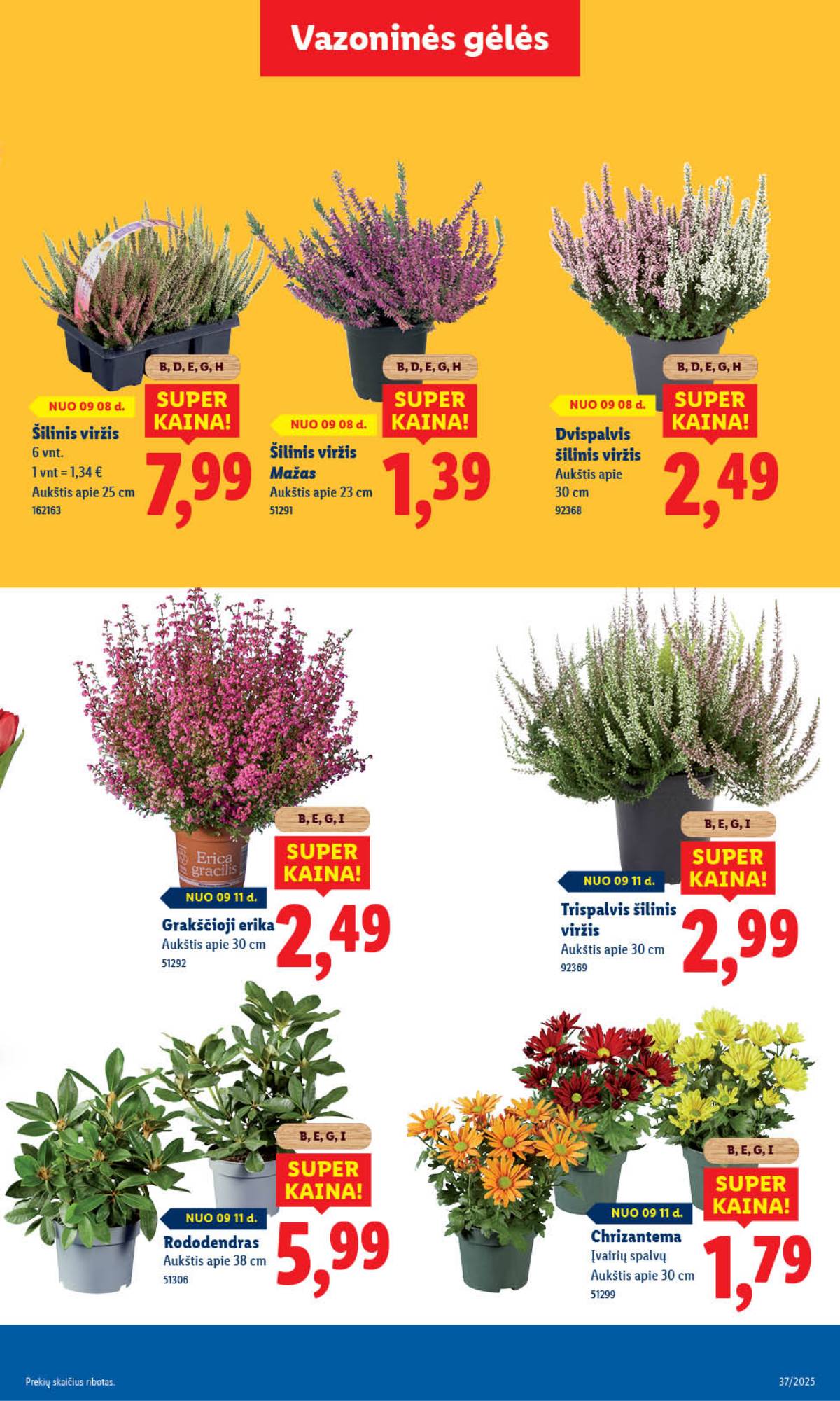 Lidl - LIDL SAVAITĖS Maisto prekių akcijų leidinys 41 puslapis
