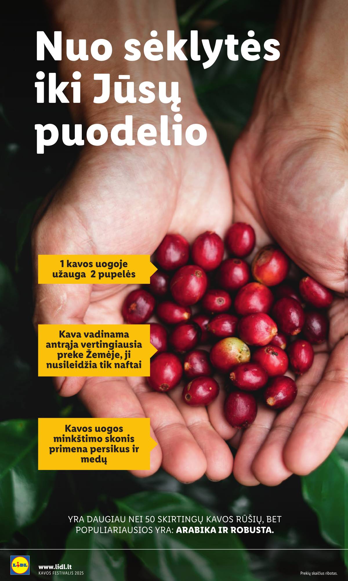 Lidl - Antrasis LIDL nuo Pirmadienio akcijų leidinys 12 puslapis