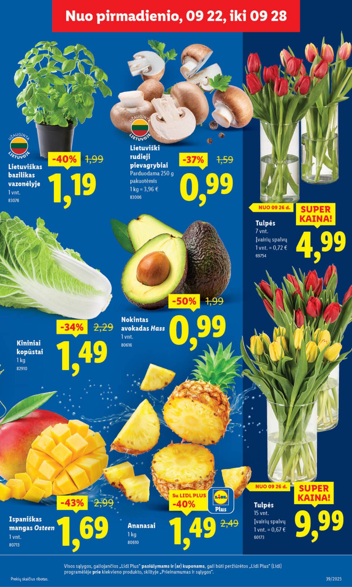 Lidl - LIDL SAVAITĖS Maisto prekių akcijų leidinys 5 puslapis