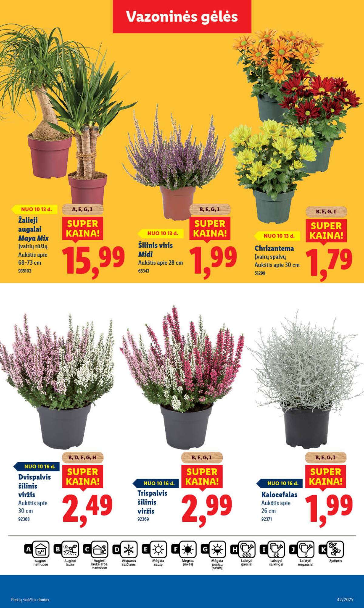 Lidl - LIDL SAVAITĖS Maisto prekių akcijų leidinys 51 puslapis
