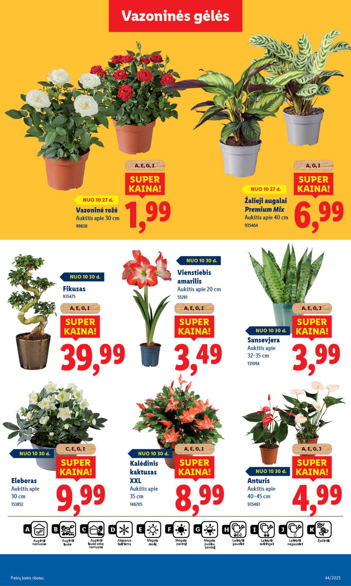 Lidl - LIDL SAVAITĖS Maisto prekių akcijų leidinys 49 puslapis