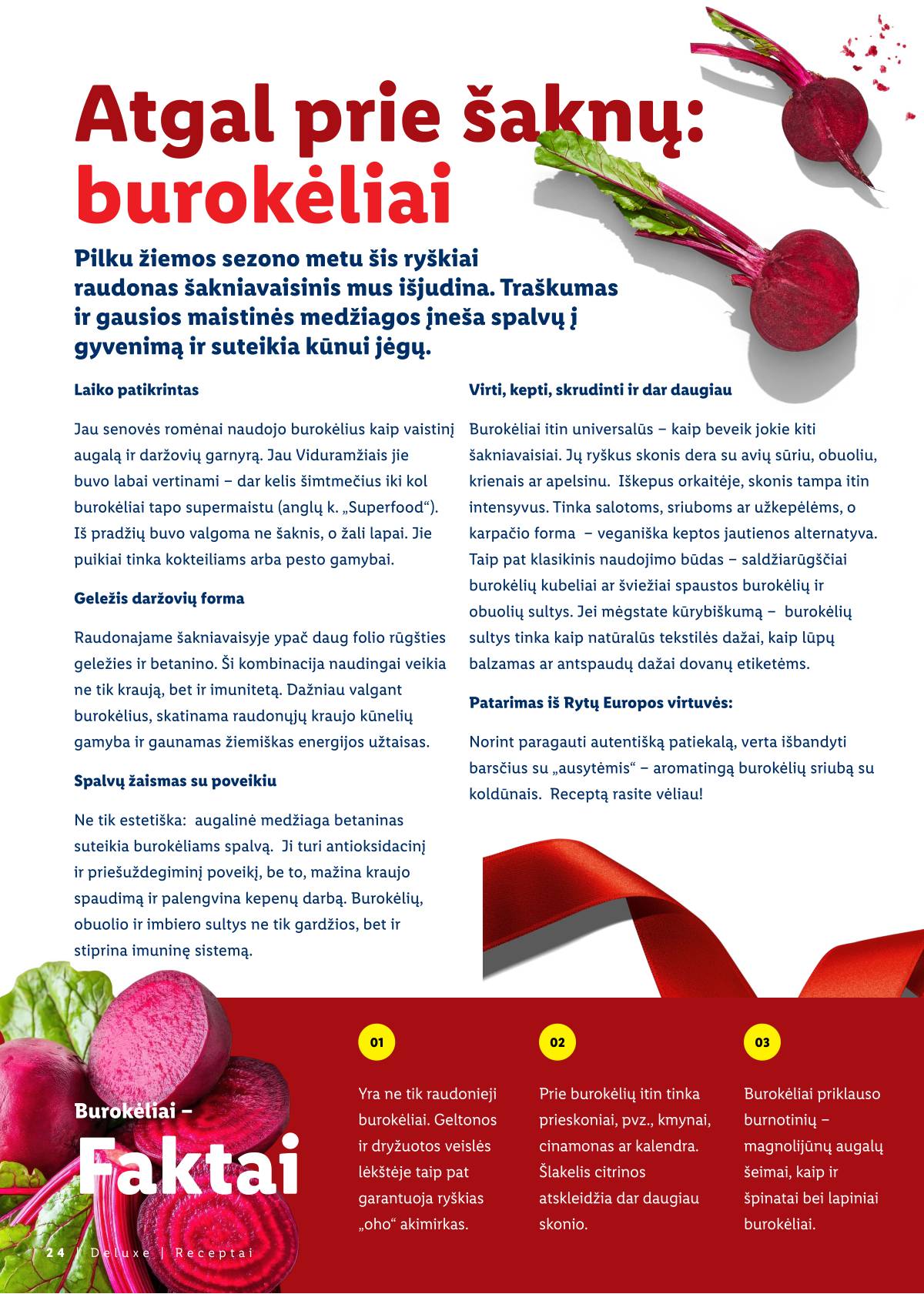 Lidl - Kalėdos su LIDL 24 puslapis