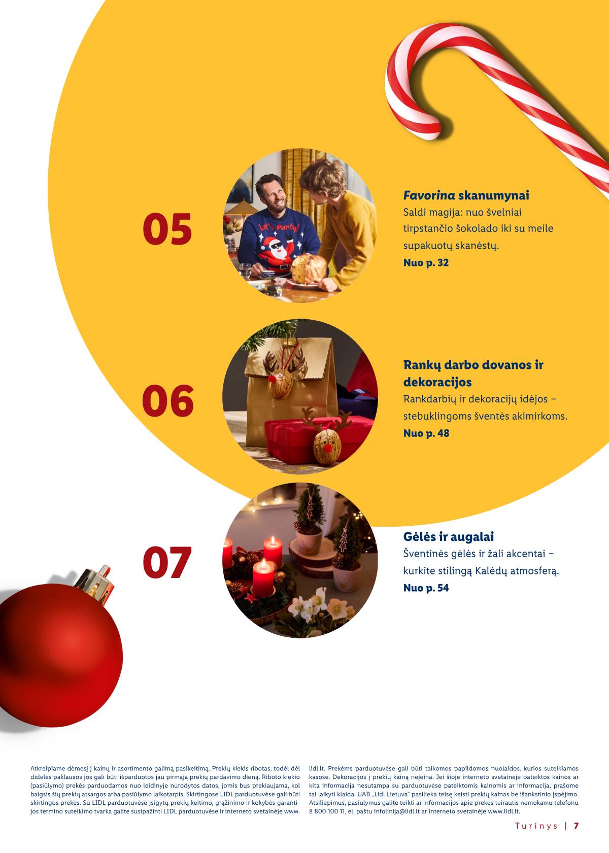 Lidl - Kalėdos su LIDL 7 puslapis