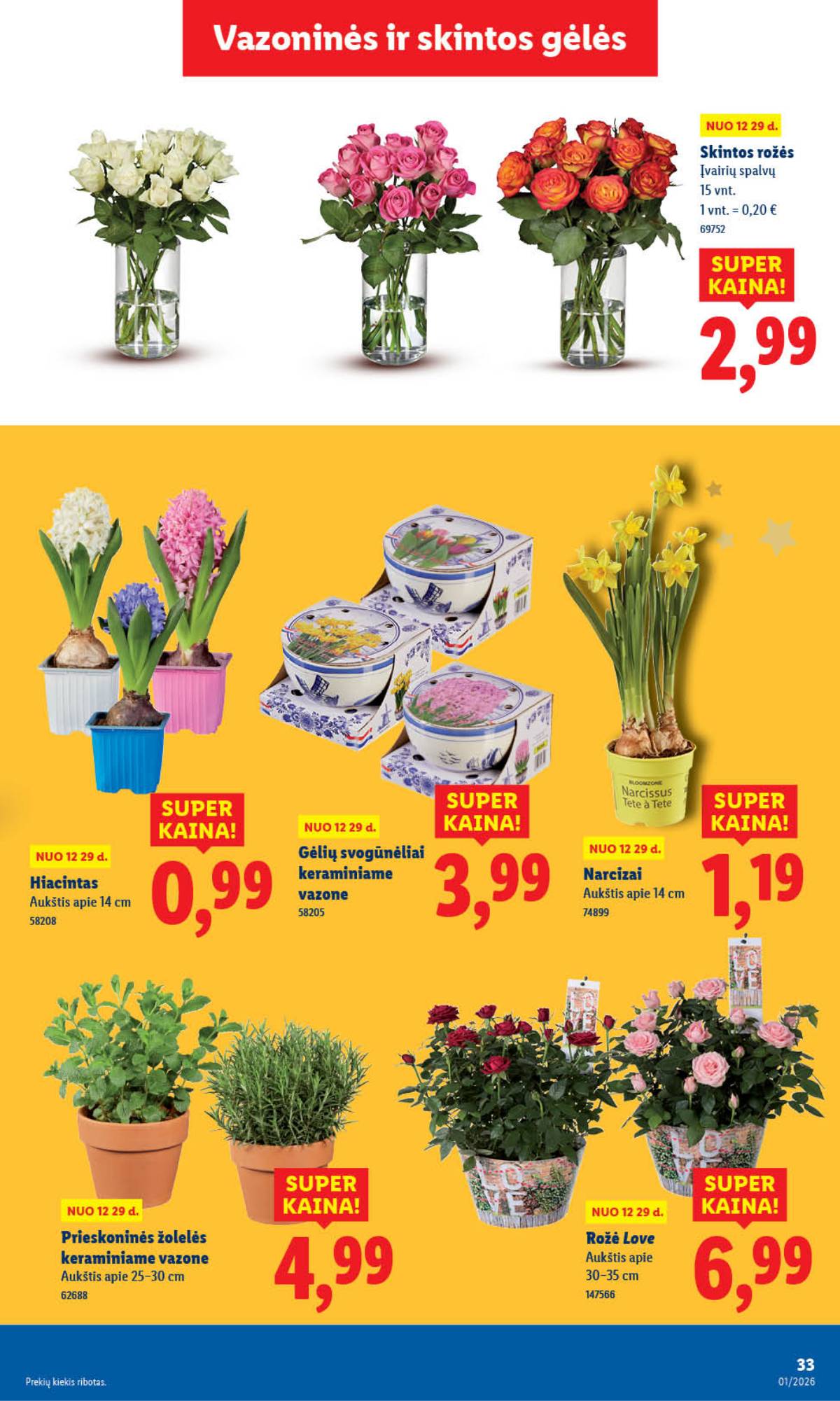 Lidl - PASIŪLYMAI NUO PENKTADIENIO 37 puslapis