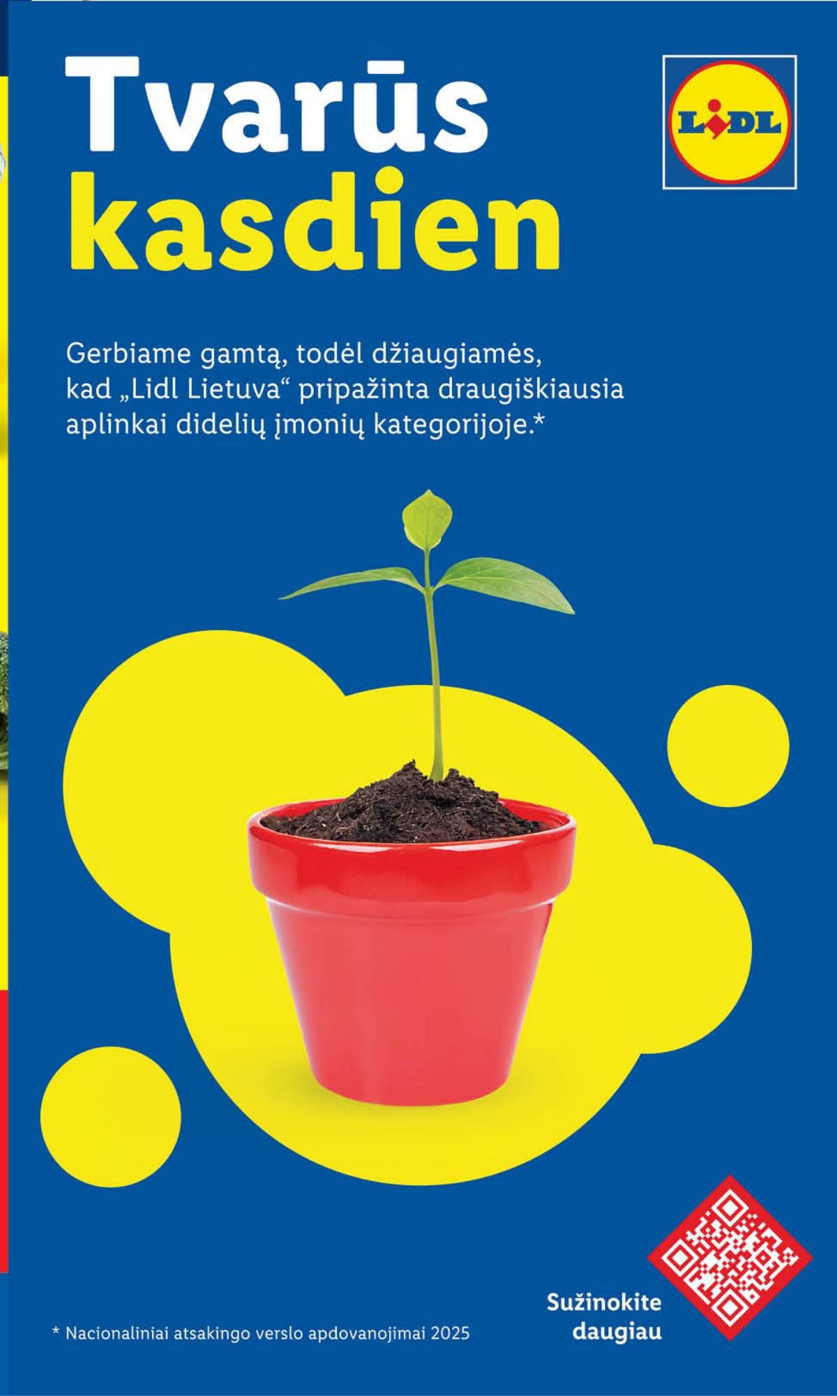 Lidl - PASIŪLYMAI NUO PENKTADIENIO 40 puslapis