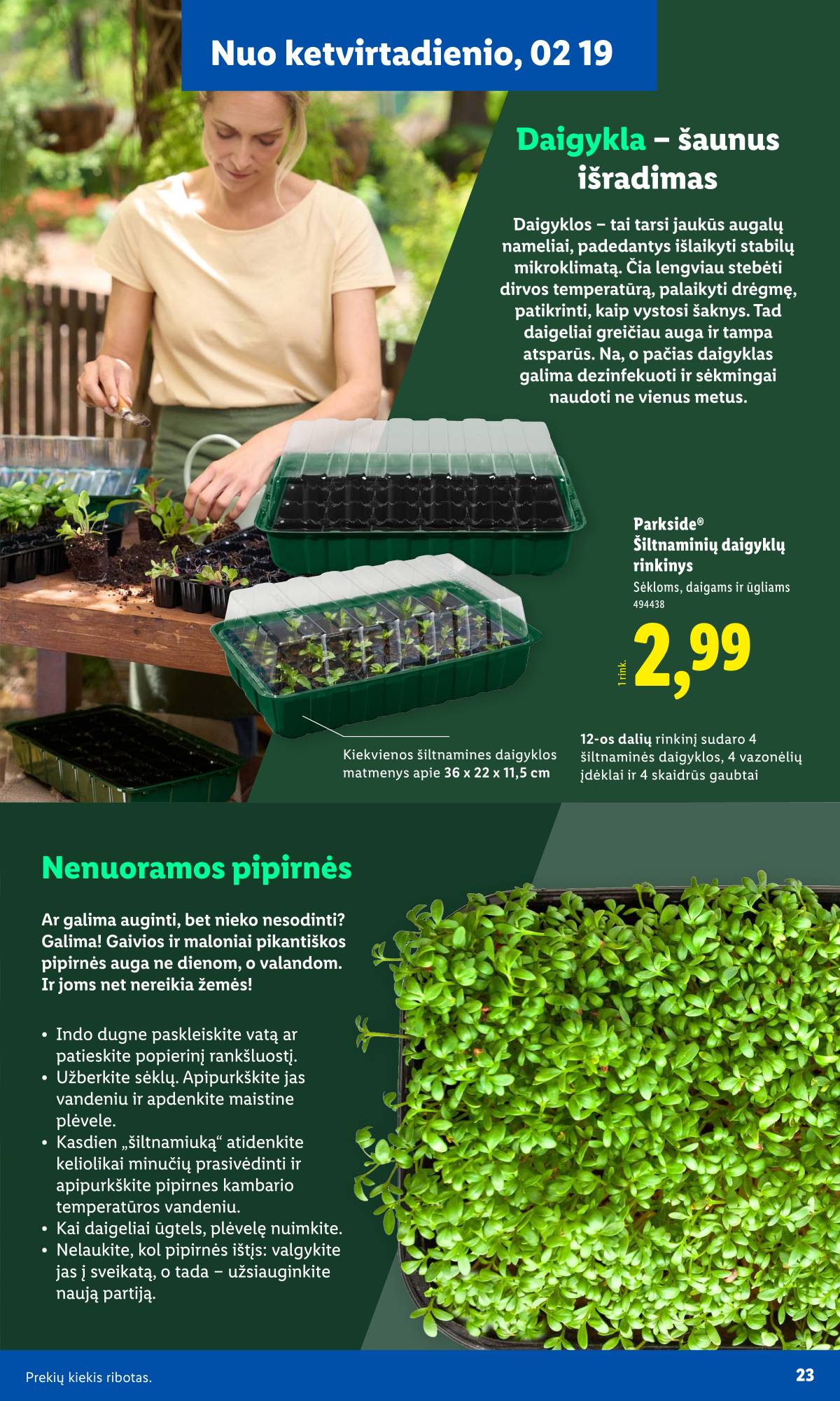 Lidl - Antrasis LIDL nuo Pirmadienio akcijų leidinys 11 puslapis