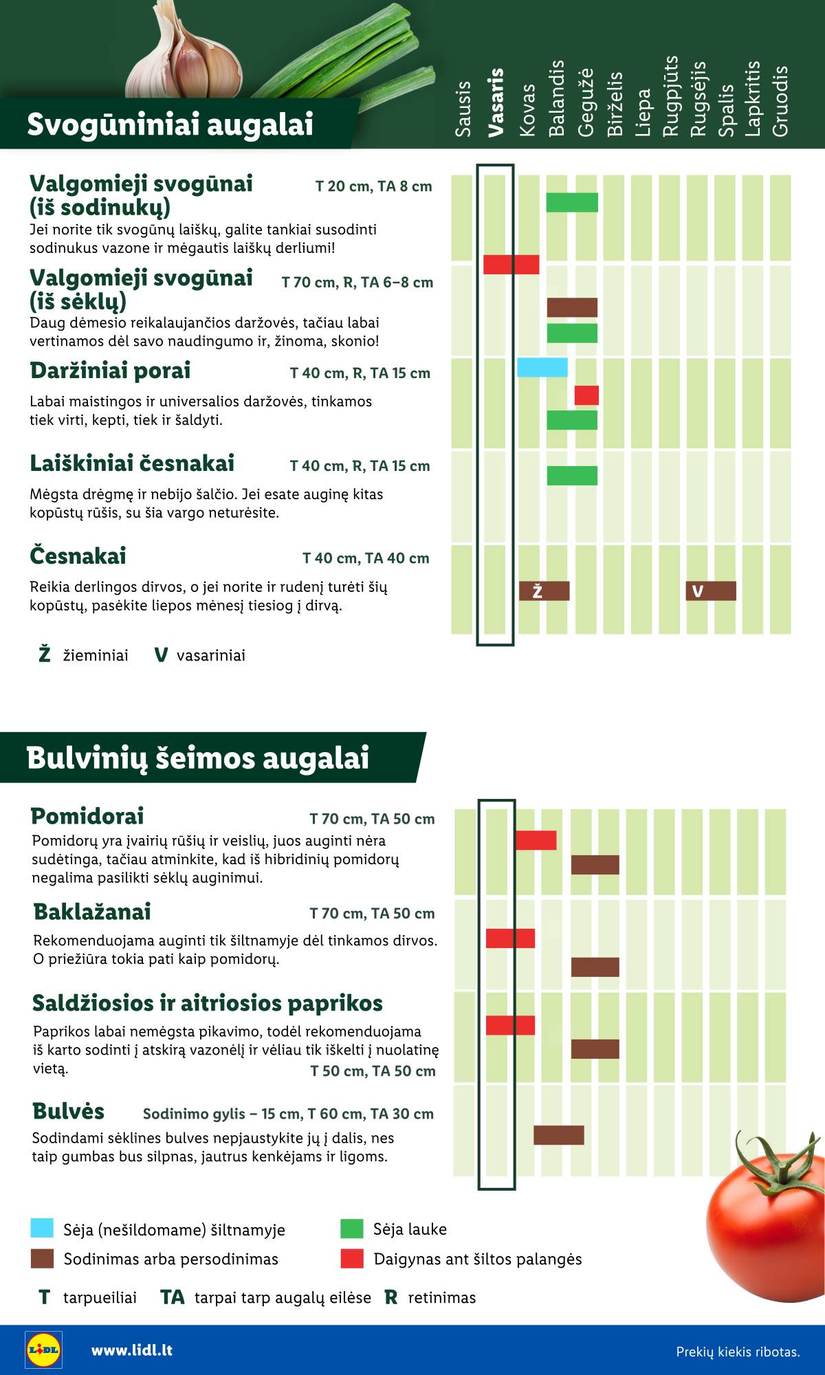 Lidl - Antrasis LIDL nuo Pirmadienio akcijų leidinys 6 puslapis