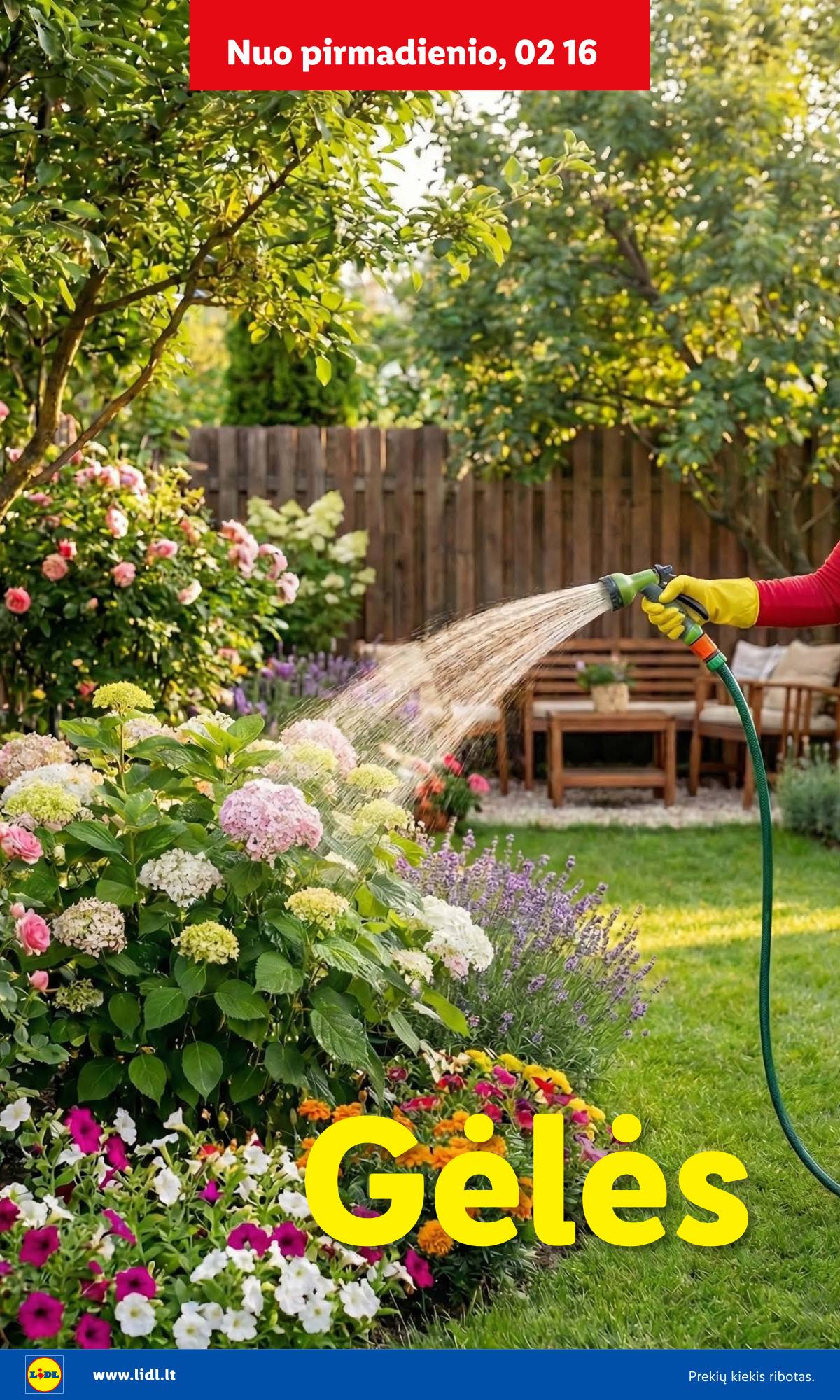 Lidl - Antrasis LIDL nuo Pirmadienio akcijų leidinys 8 puslapis