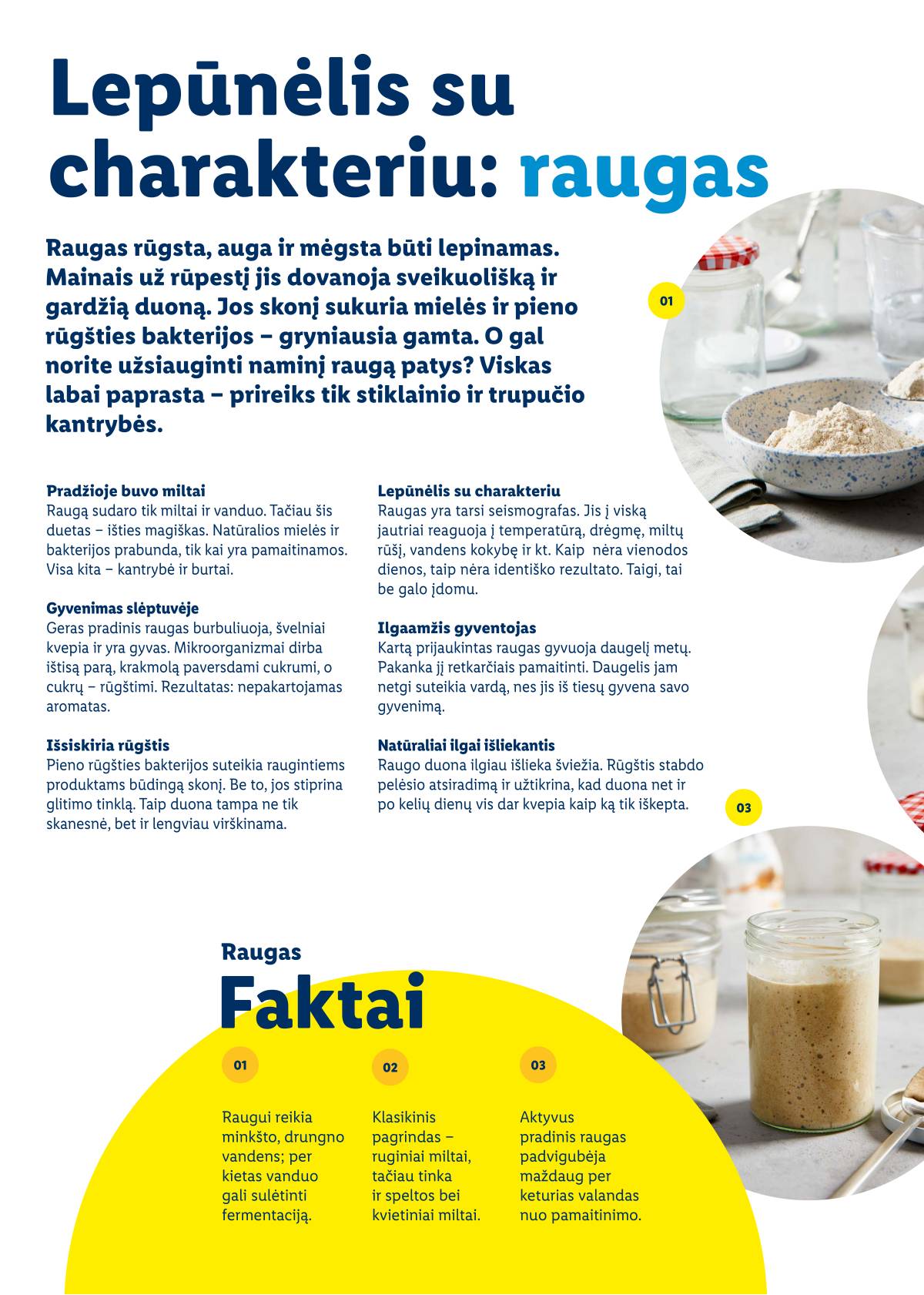 Lidl - Velykų katalogas 38 puslapis