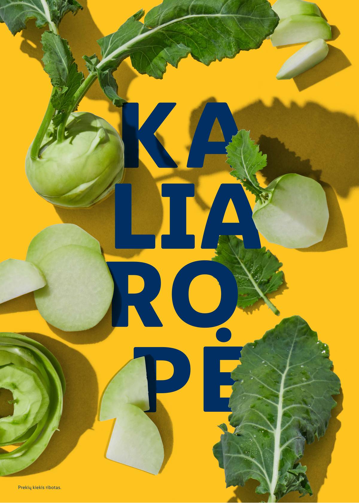 Lidl - Velykų katalogas 70 puslapis