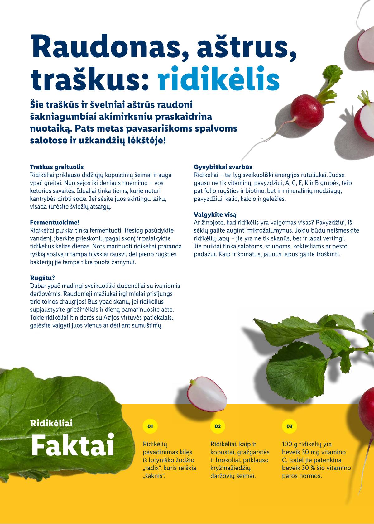 Lidl - Velykų katalogas 48 puslapis