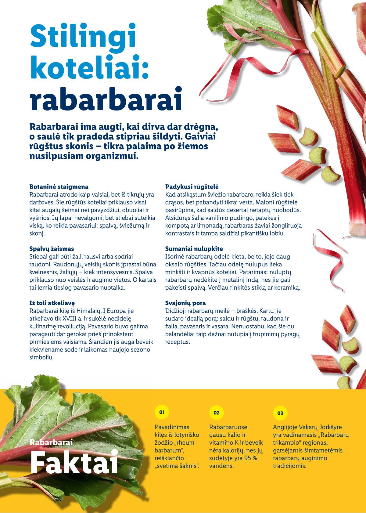 Lidl - Velykų katalogas 76 puslapis