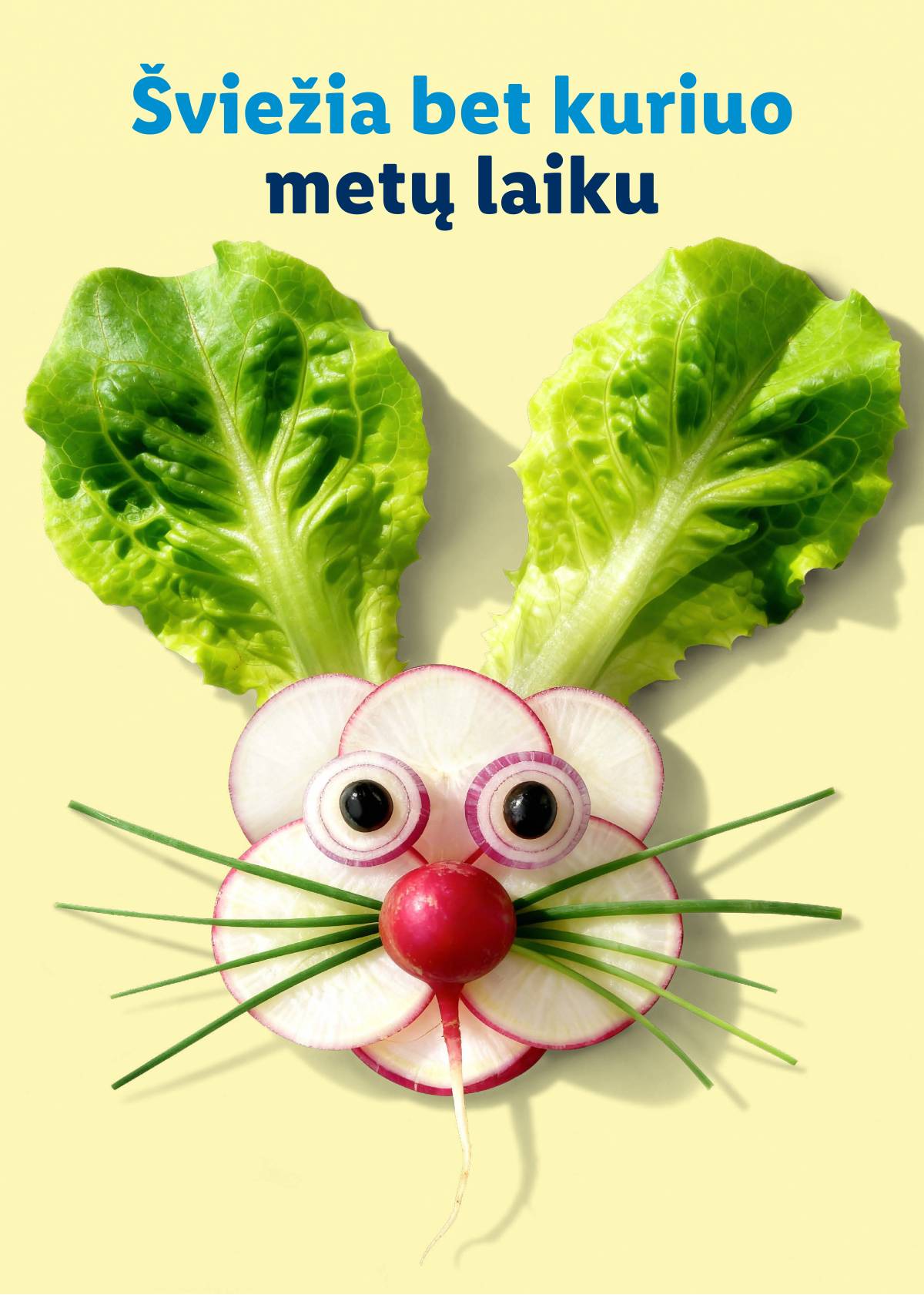 Lidl - Velykų katalogas 77 puslapis