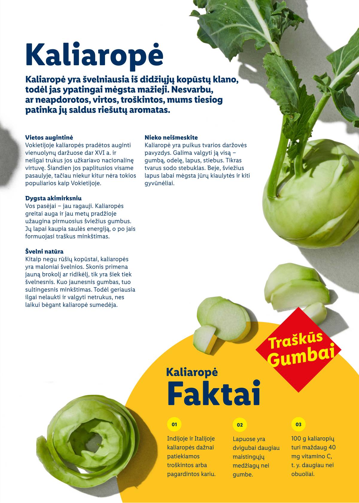 Lidl - Velykų katalogas 81 puslapis