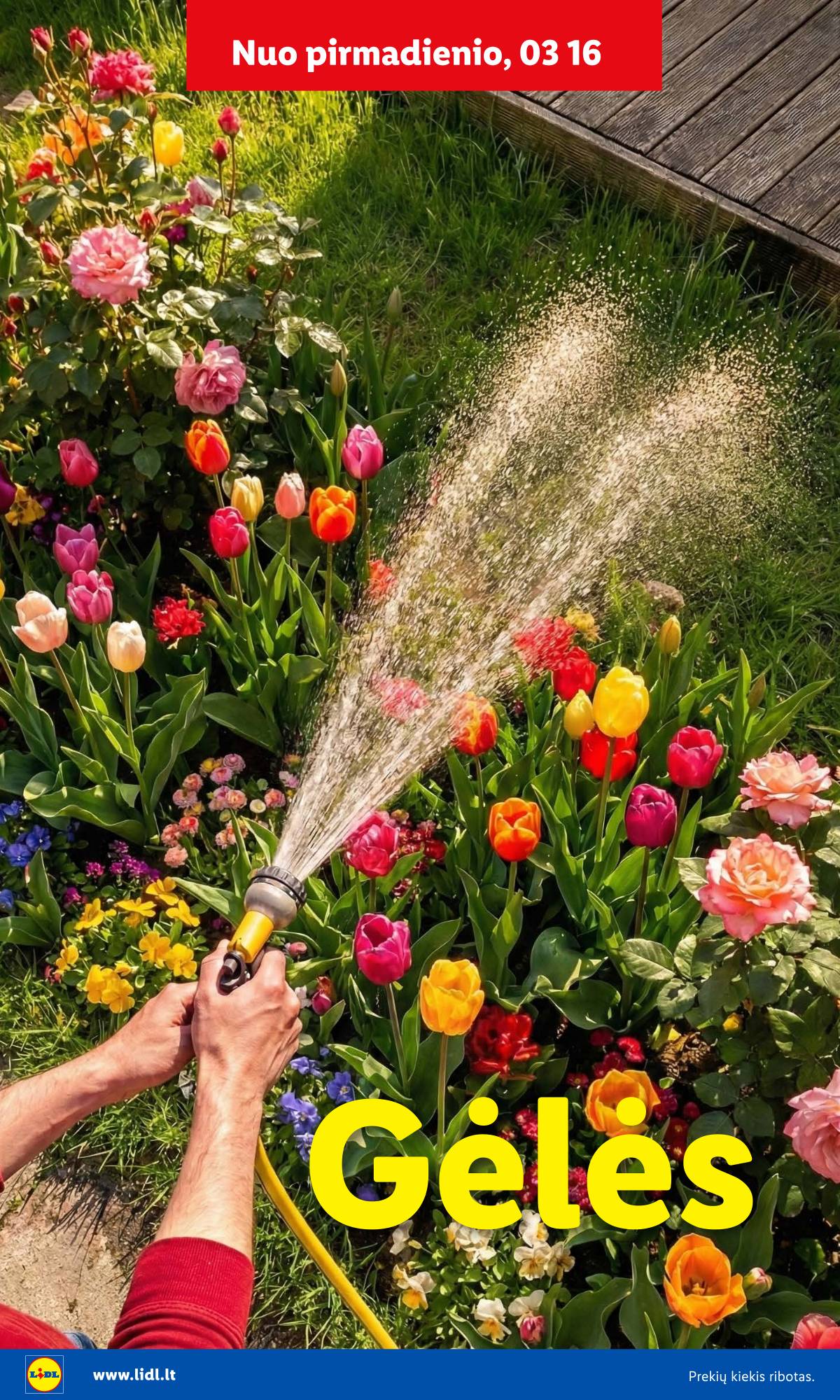 Lidl - Antrasis LIDL nuo Pirmadienio akcijų leidinys 18 puslapis