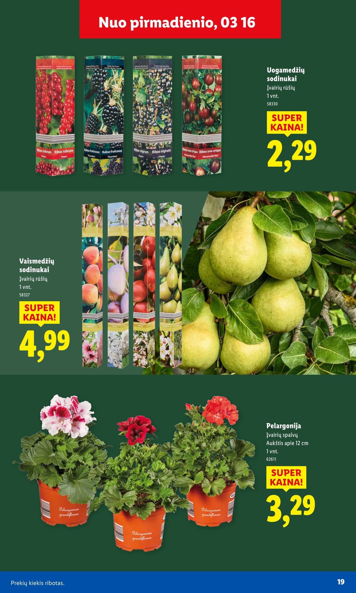 Lidl - Antrasis LIDL nuo Pirmadienio akcijų leidinys 19 puslapis