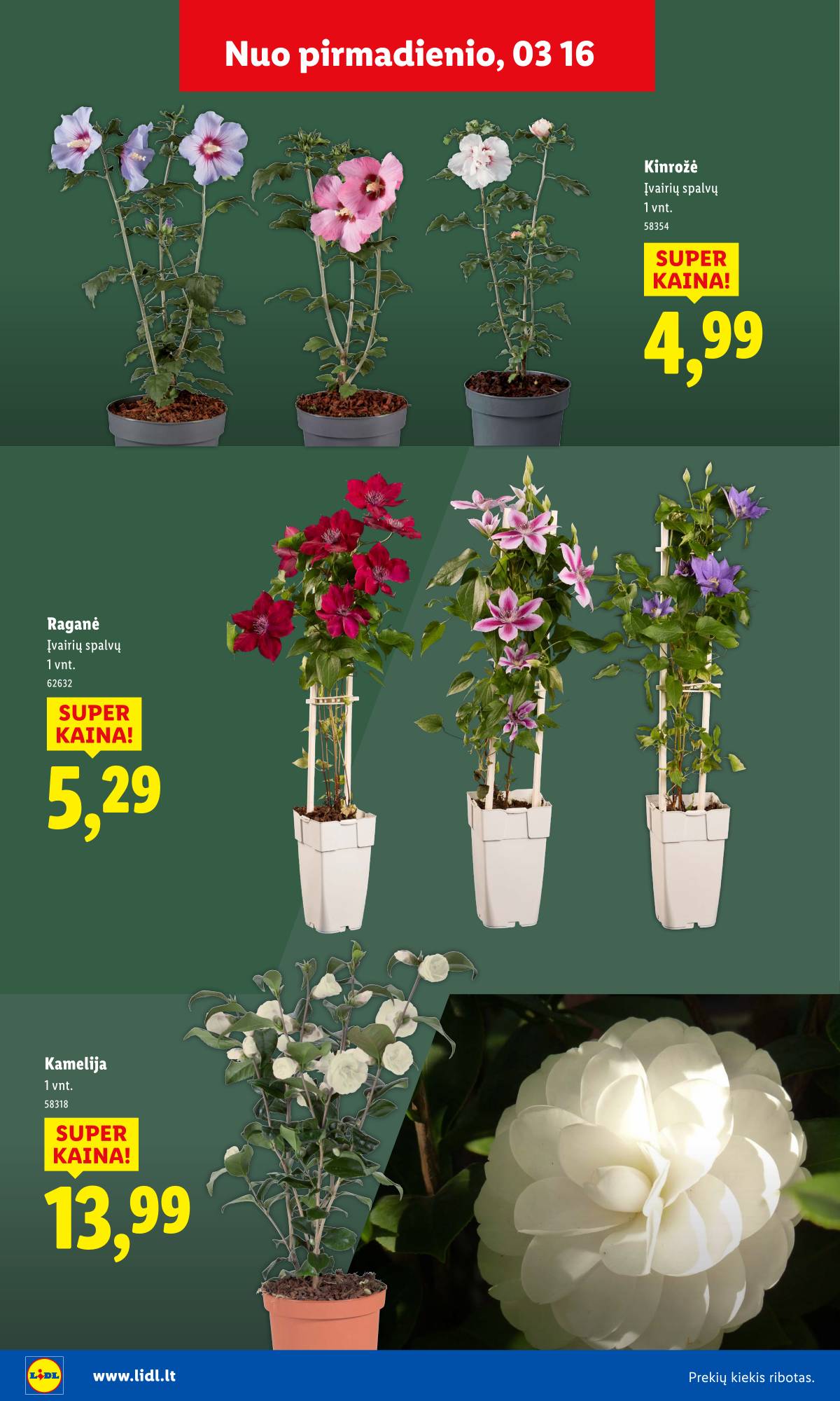 Lidl - Antrasis LIDL nuo Pirmadienio akcijų leidinys 20 puslapis