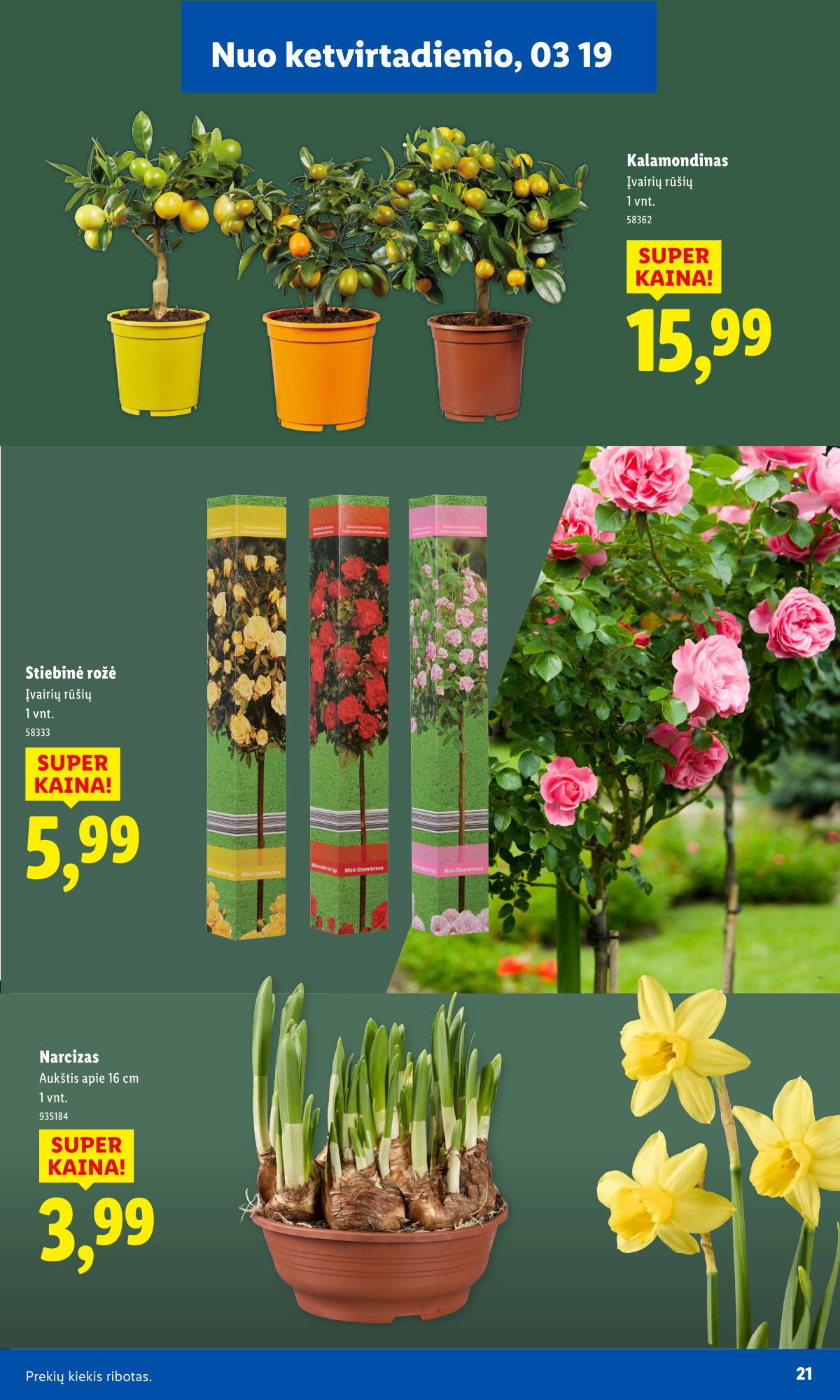 Lidl - Antrasis LIDL nuo Pirmadienio akcijų leidinys 21 puslapis