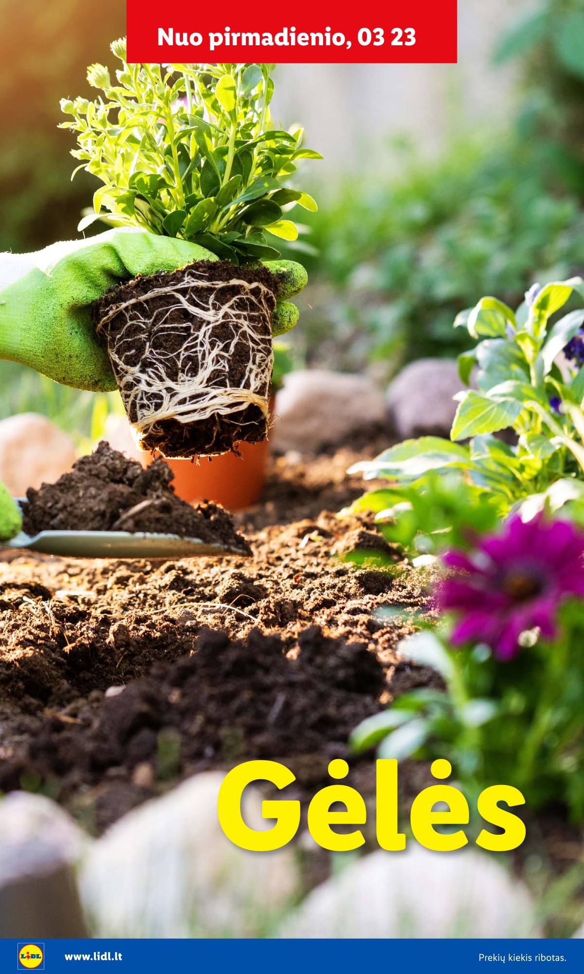 Lidl - Antrasis LIDL nuo Pirmadienio akcijų leidinys 32 puslapis
