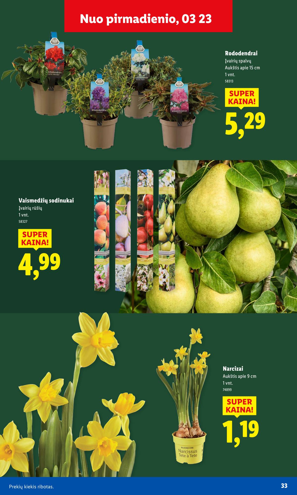 Lidl - Antrasis LIDL nuo Pirmadienio akcijų leidinys 33 puslapis