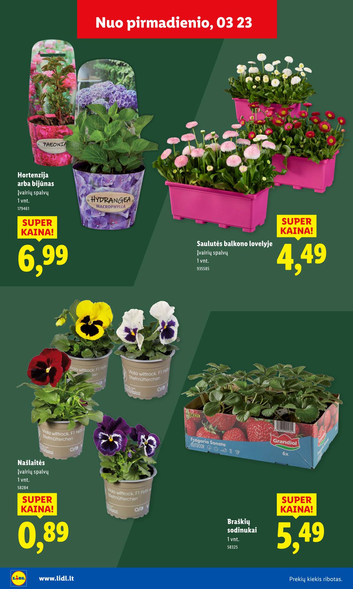 Lidl - Antrasis LIDL nuo Pirmadienio akcijų leidinys 34 puslapis