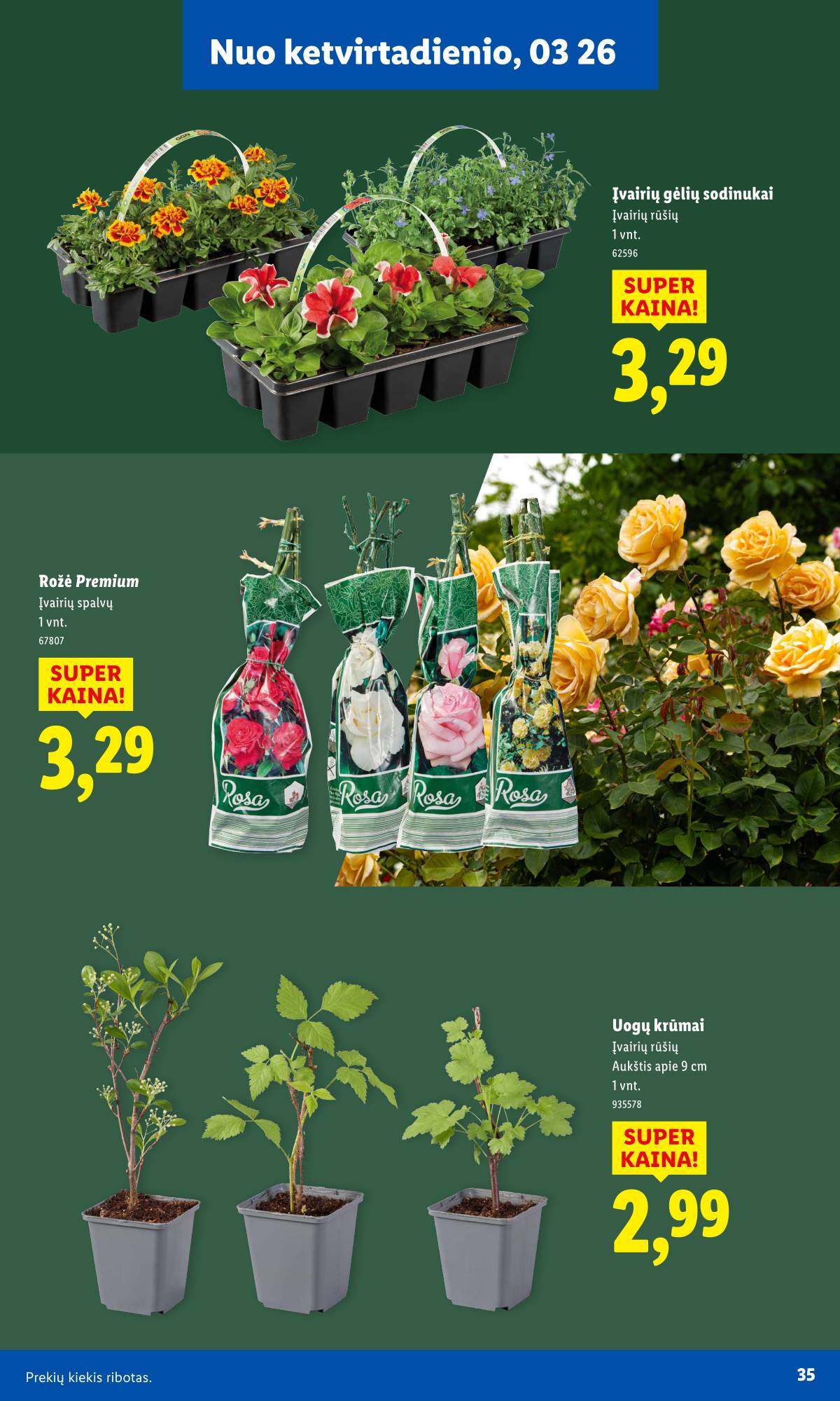 Lidl - Antrasis LIDL nuo Pirmadienio akcijų leidinys 35 puslapis