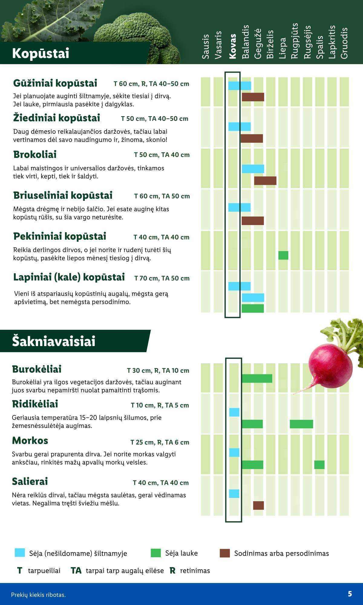 Lidl - Antrasis LIDL nuo Pirmadienio akcijų leidinys 5 puslapis
