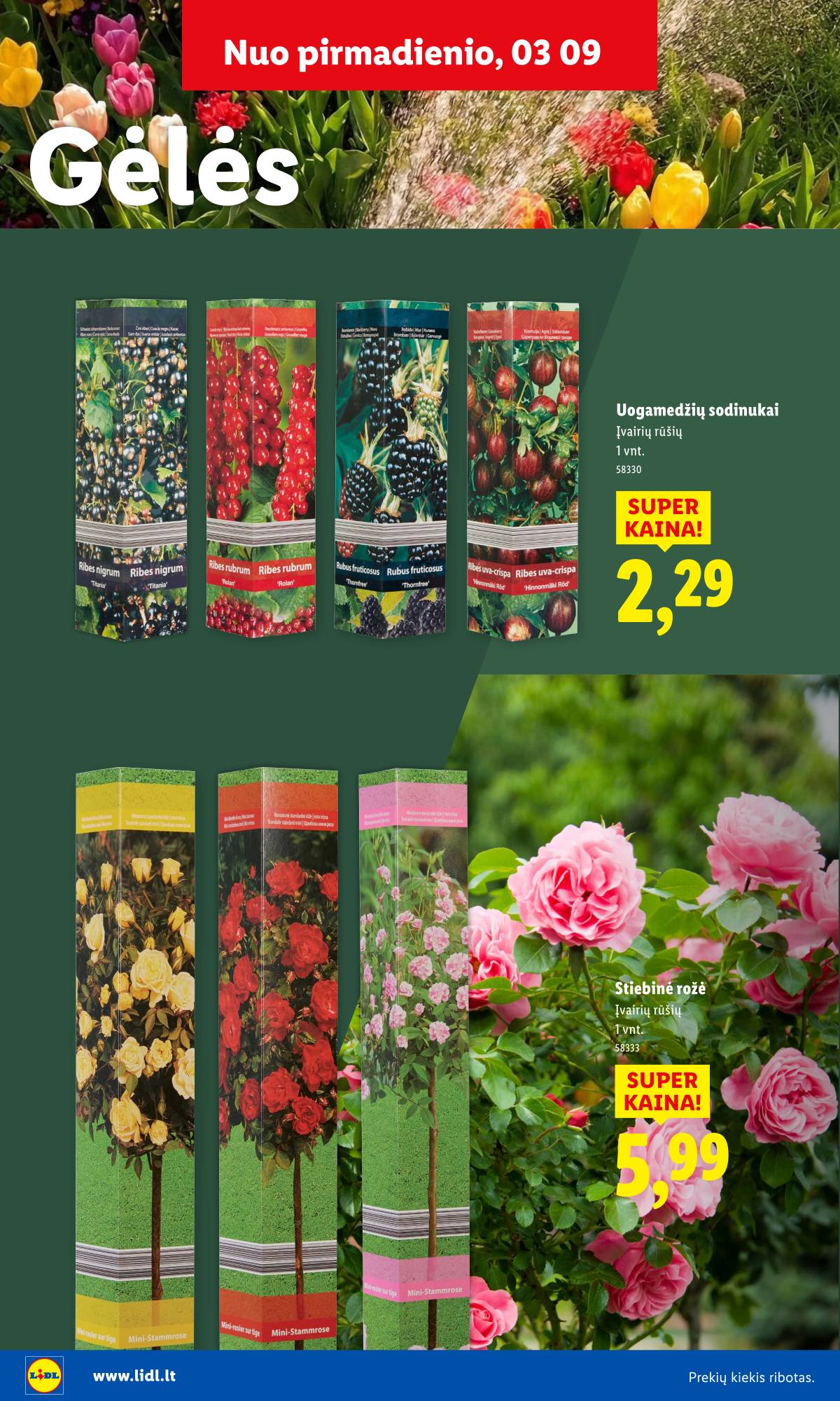 Lidl - Antrasis LIDL nuo Pirmadienio akcijų leidinys 8 puslapis