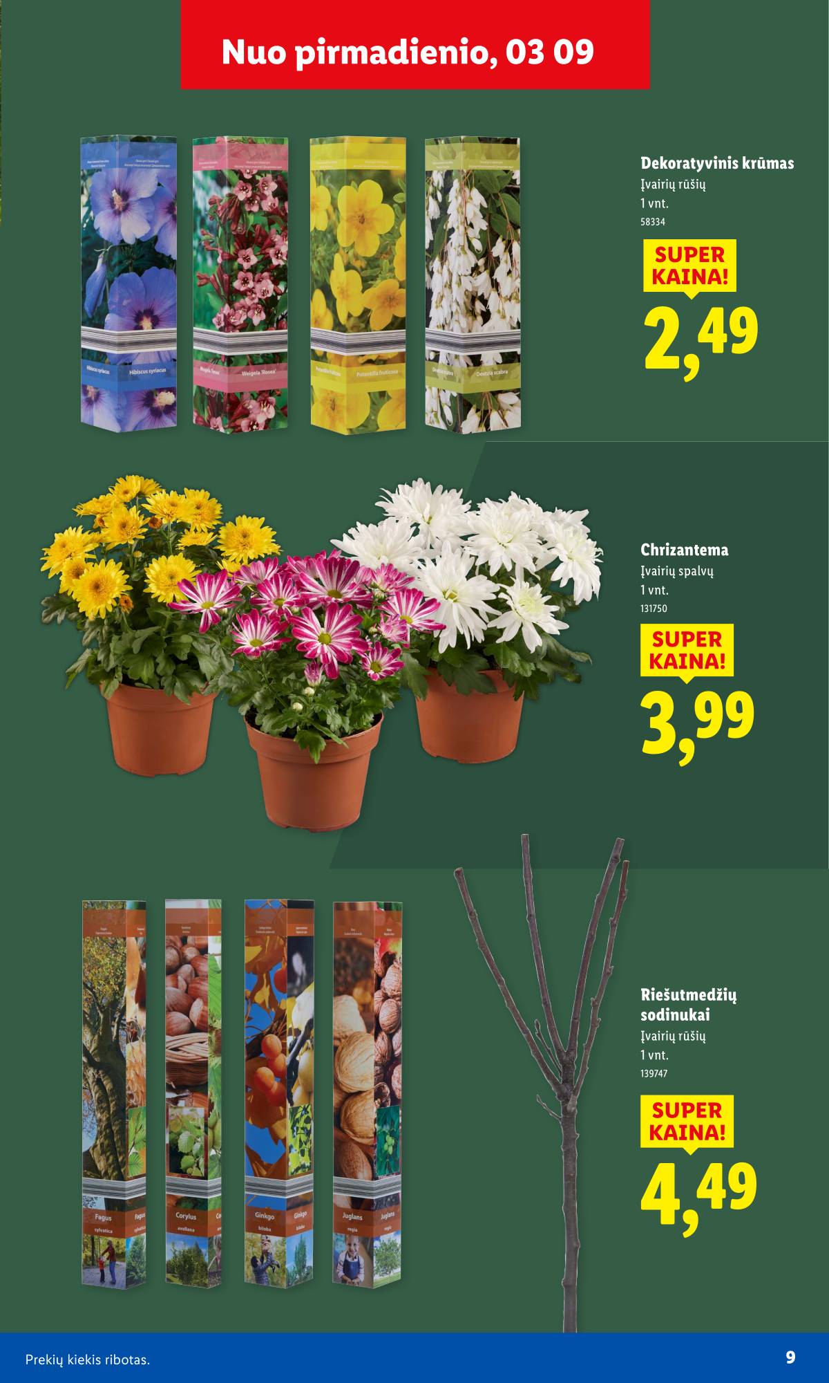 Lidl - Antrasis LIDL nuo Pirmadienio akcijų leidinys 9 puslapis