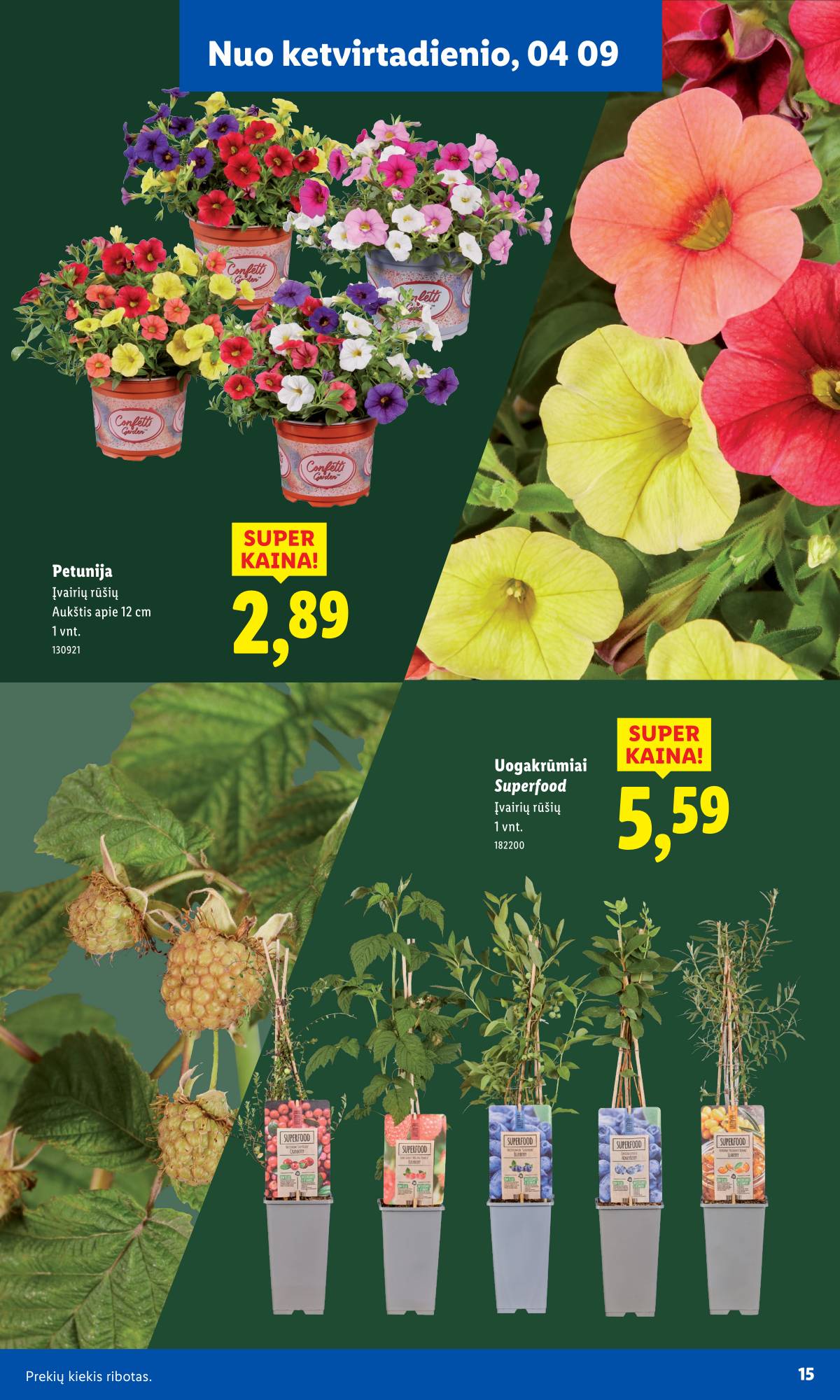 Lidl - Antrasis LIDL nuo Pirmadienio akcijų leidinys 15 puslapis