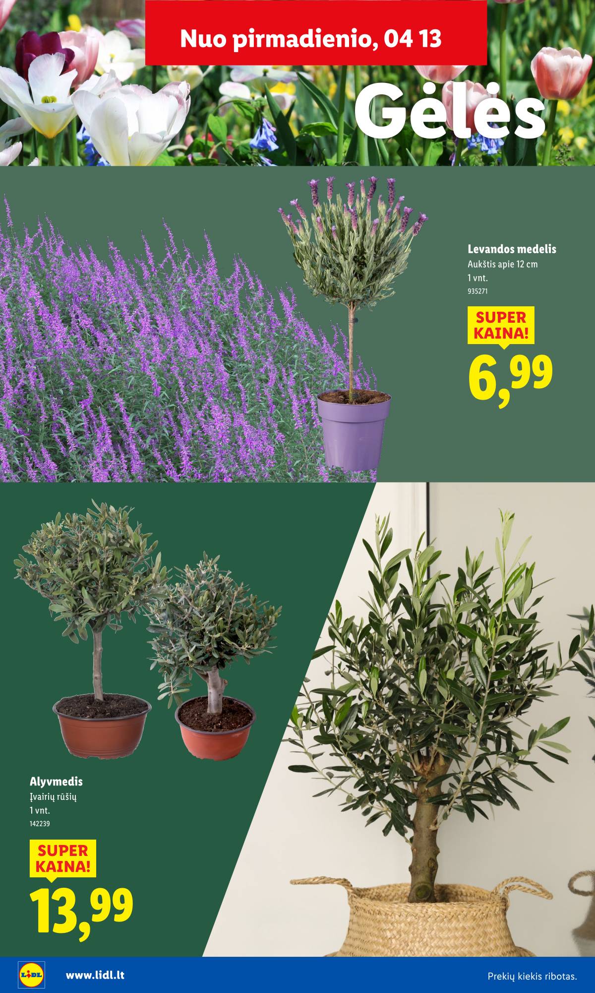 Lidl - Antrasis LIDL nuo Pirmadienio akcijų leidinys 22 puslapis