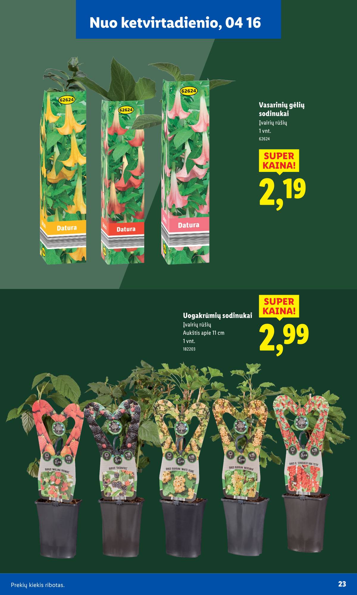 Lidl - Antrasis LIDL nuo Pirmadienio akcijų leidinys 23 puslapis