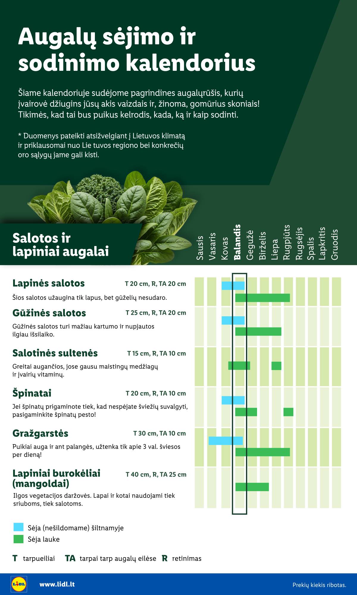 Lidl - Antrasis LIDL nuo Pirmadienio akcijų leidinys 4 puslapis