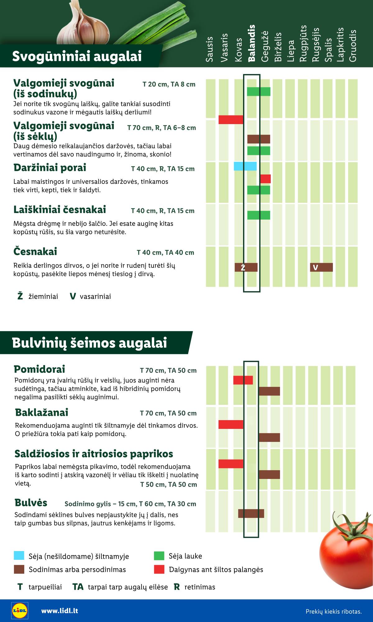 Lidl - Antrasis LIDL nuo Pirmadienio akcijų leidinys 6 puslapis