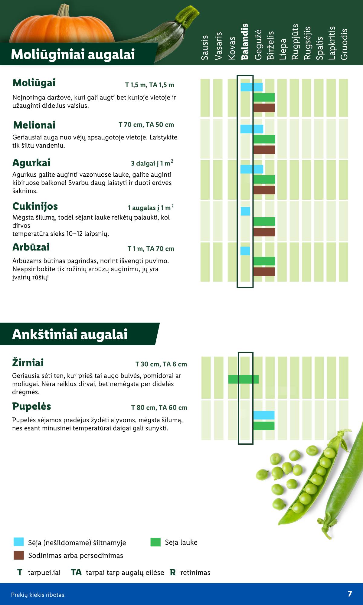 Lidl - Antrasis LIDL nuo Pirmadienio akcijų leidinys 7 puslapis