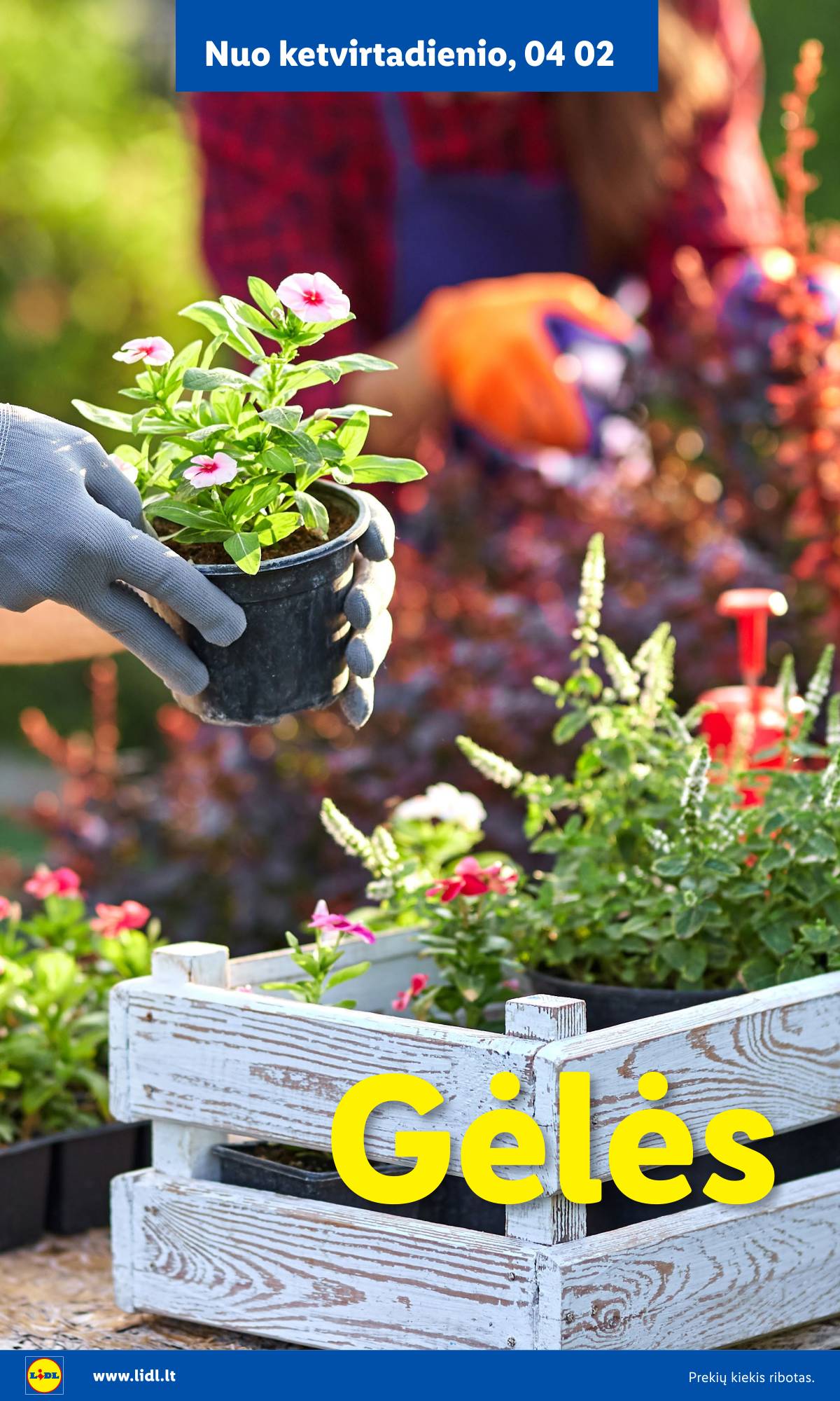 Lidl - Antrasis LIDL nuo Pirmadienio akcijų leidinys 8 puslapis