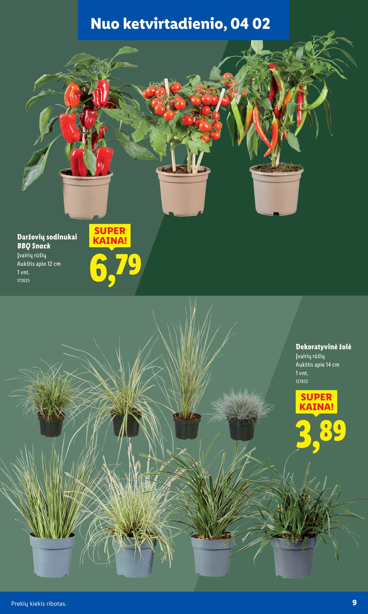 Lidl - Antrasis LIDL nuo Pirmadienio akcijų leidinys 9 puslapis