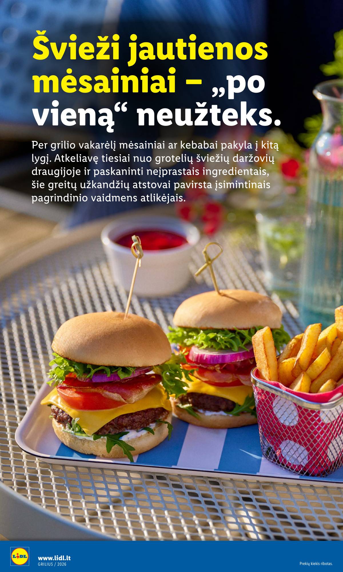 Lidl - Antrasis LIDL nuo Pirmadienio akcijų leidinys 12 puslapis