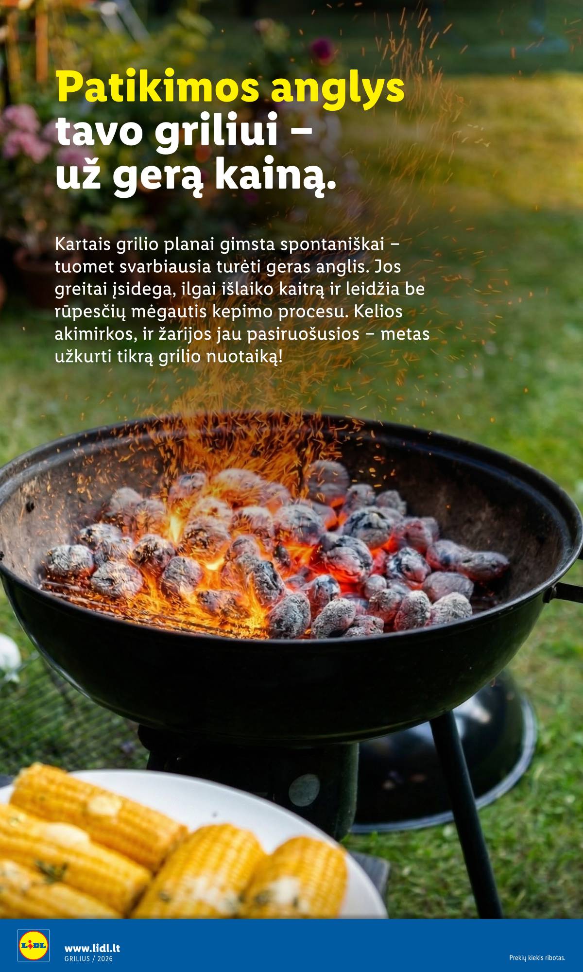 Lidl - Antrasis LIDL nuo Pirmadienio akcijų leidinys 32 puslapis